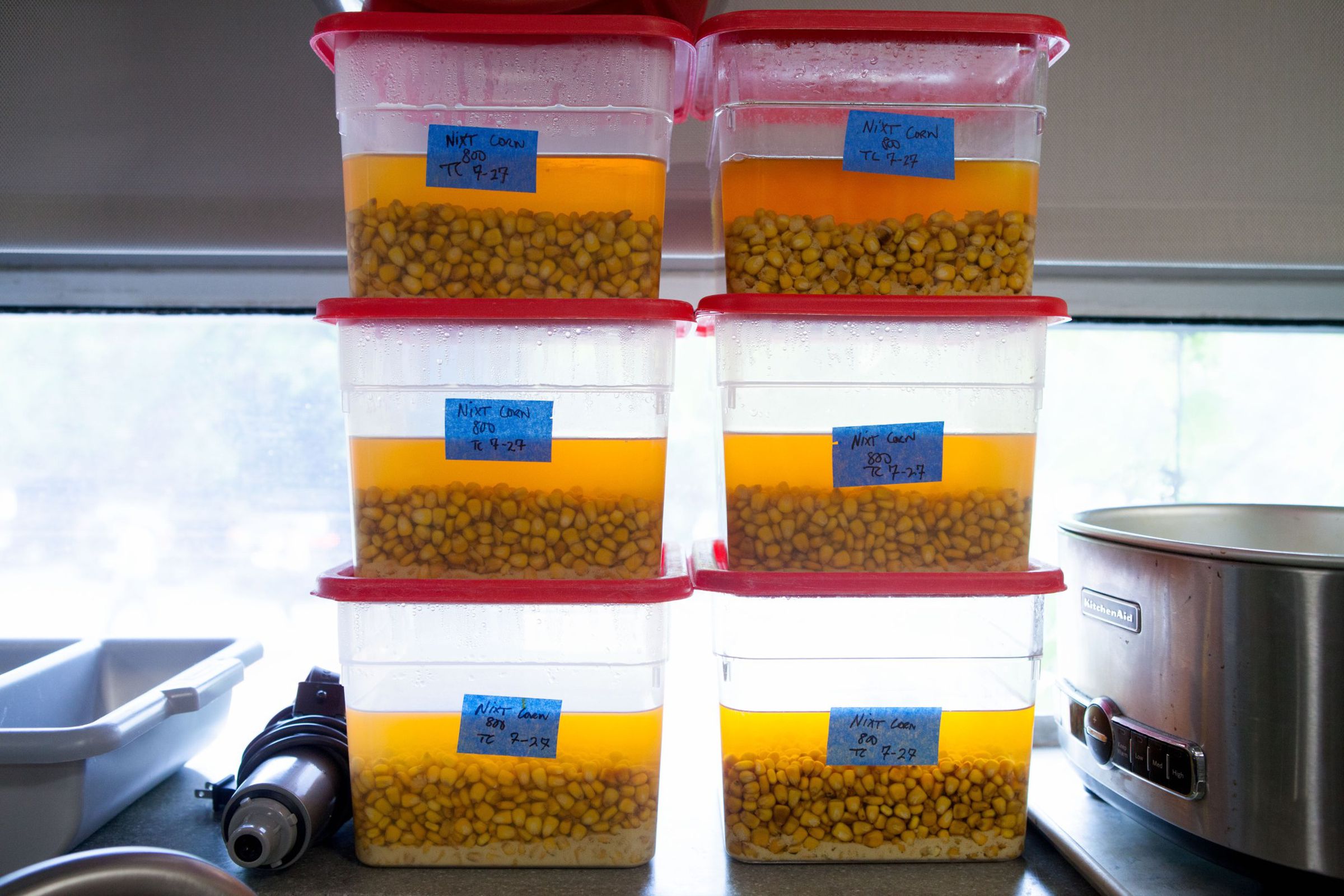 Plastic tubs with corn kernels soaking in a nixtamalizing solution, stacked on top of each other on the counter in the Cook's Science Test Kitchen.