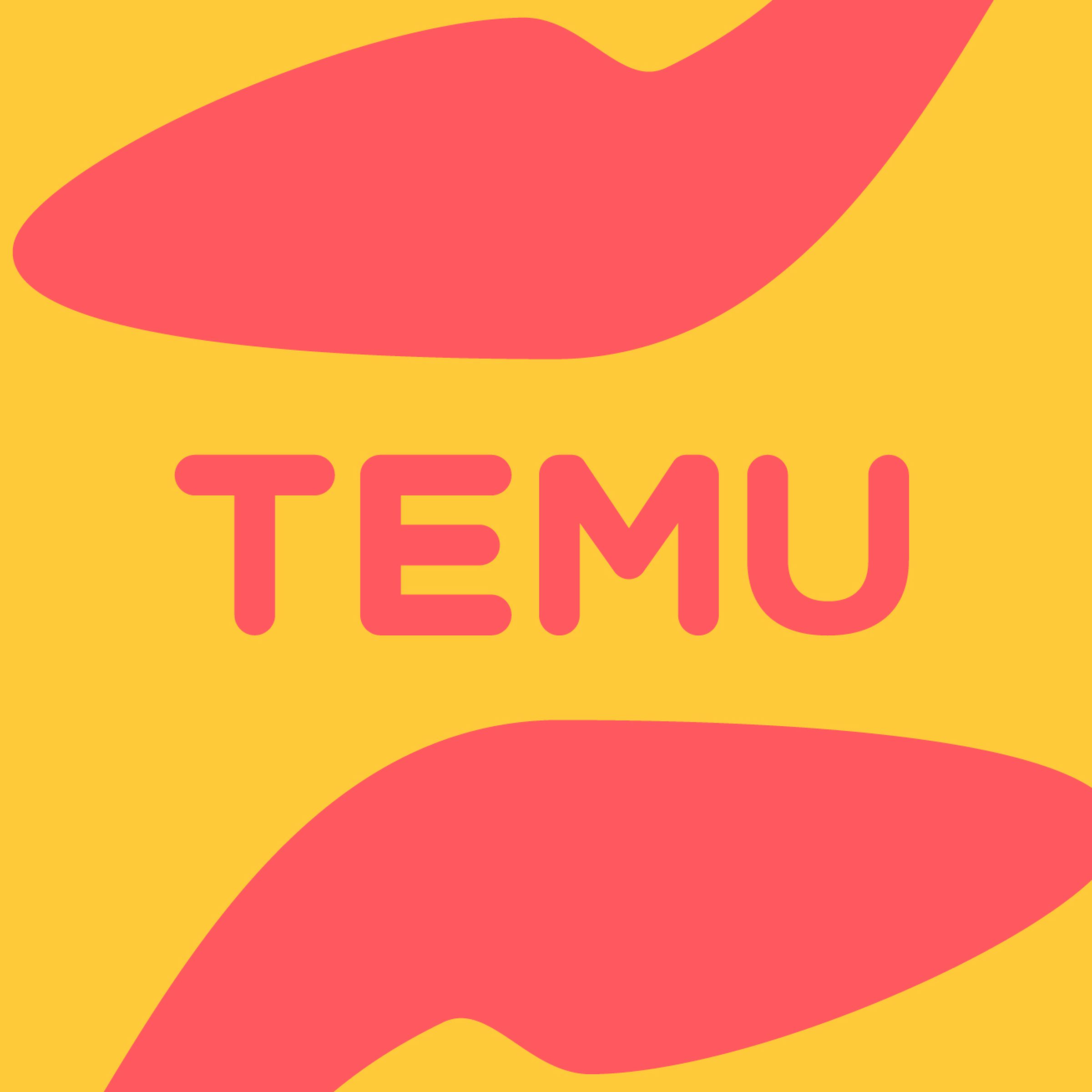 Colorful logo of Temu