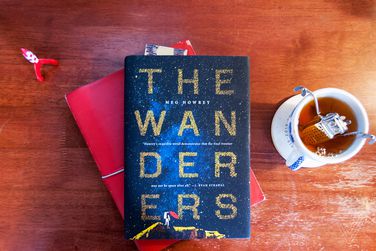 the wanderers book meg howrey