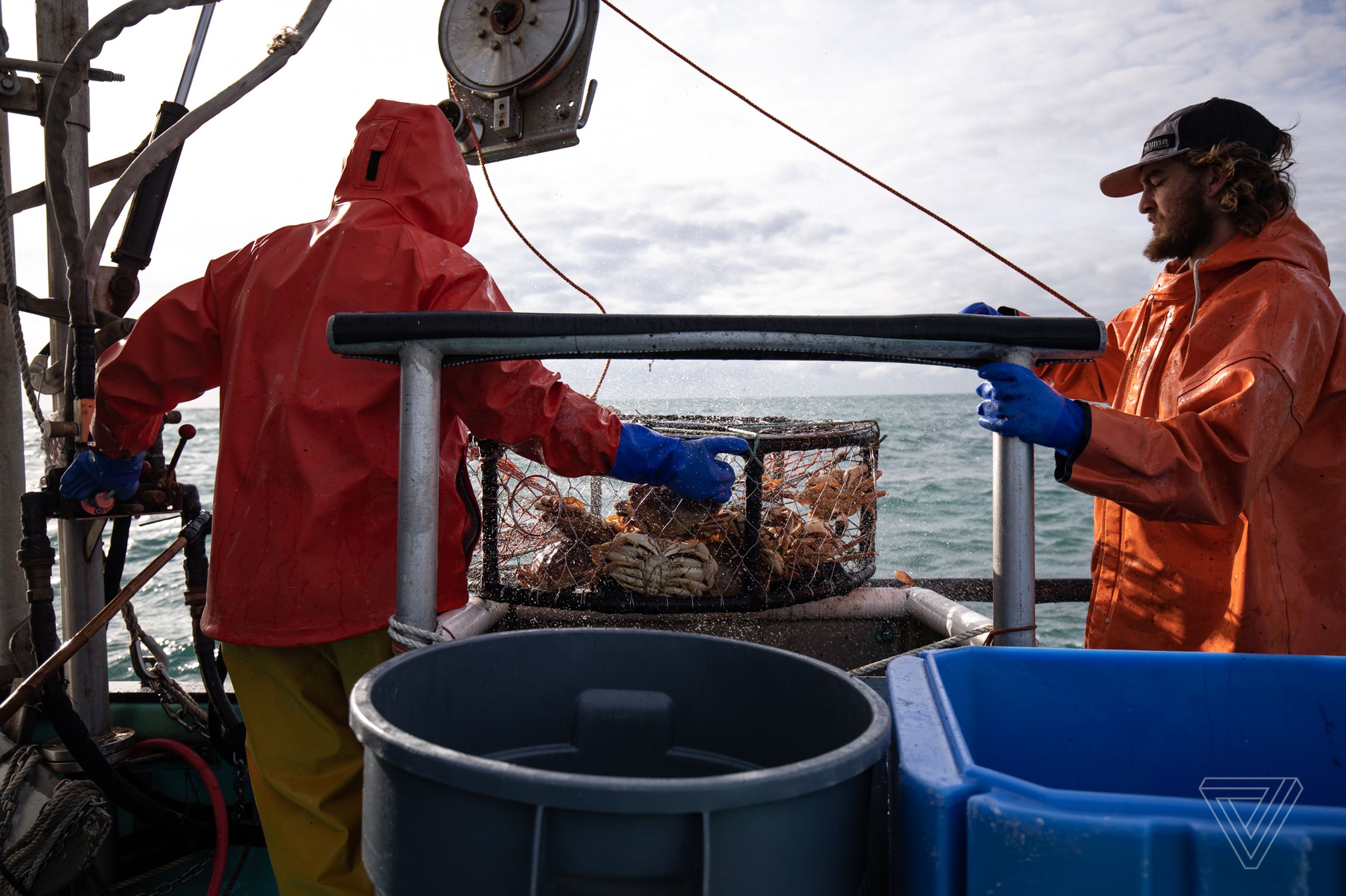 <em>Once they’ve pull in the crab pot, McLean Vuilleumier (left) and Sam Davis (right) measure the crabs, and throw back the ones that are too small.</em>