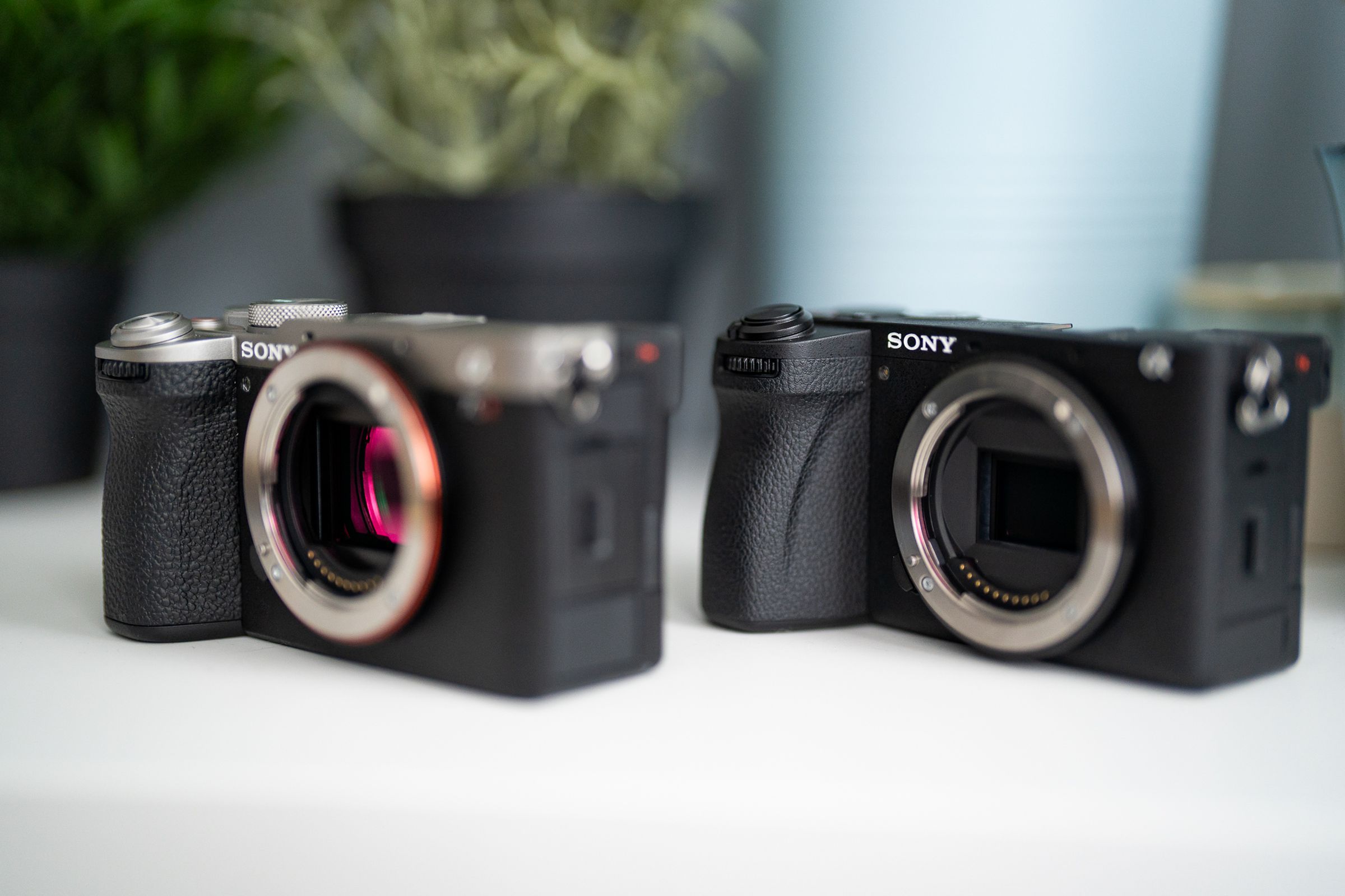 <em>You can see how the smaller A6700 (right) actually has the larger grip with better ergonomics than the A7C R / A7C II.</em>