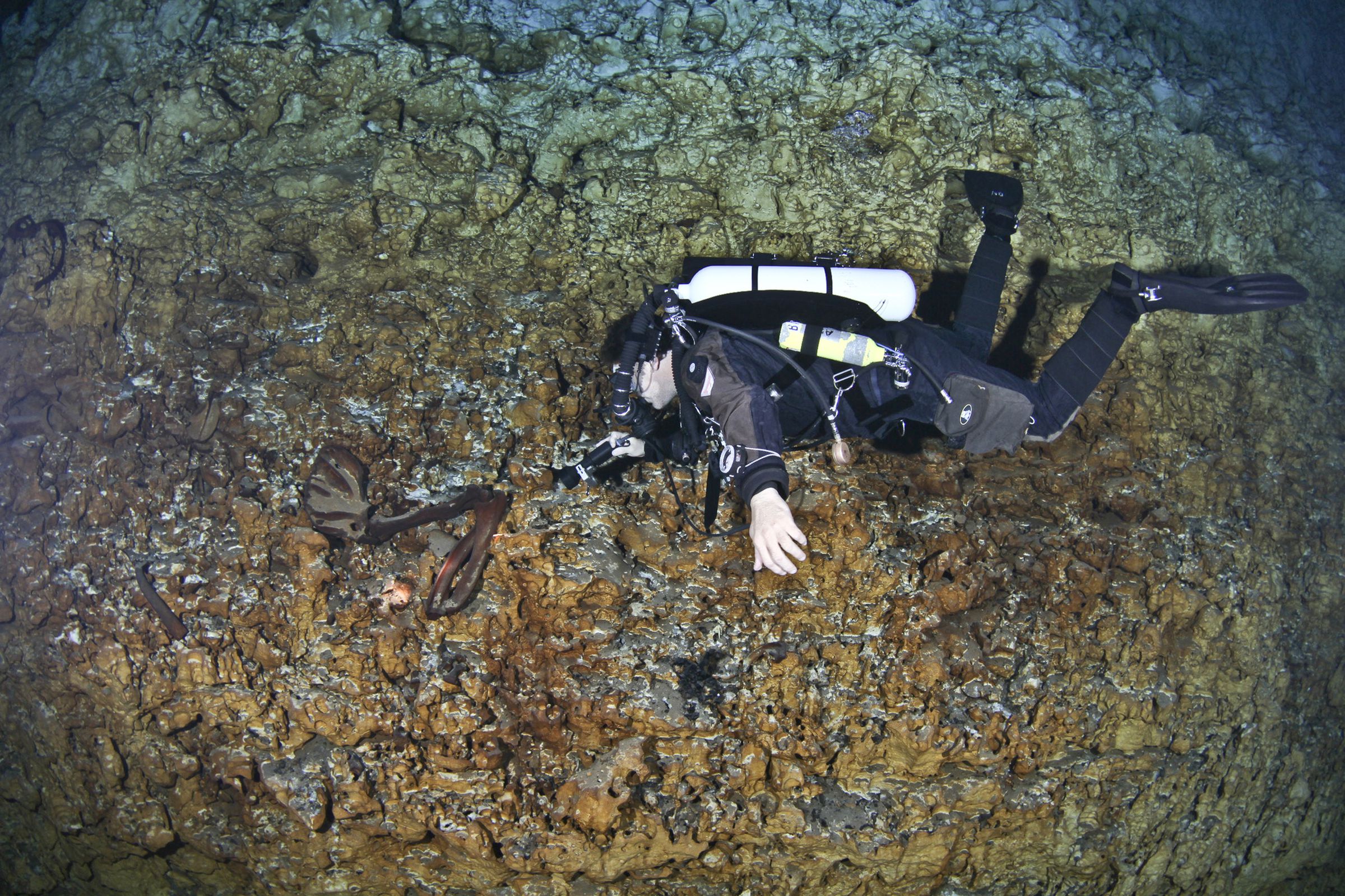 Naia skeleton diving photos