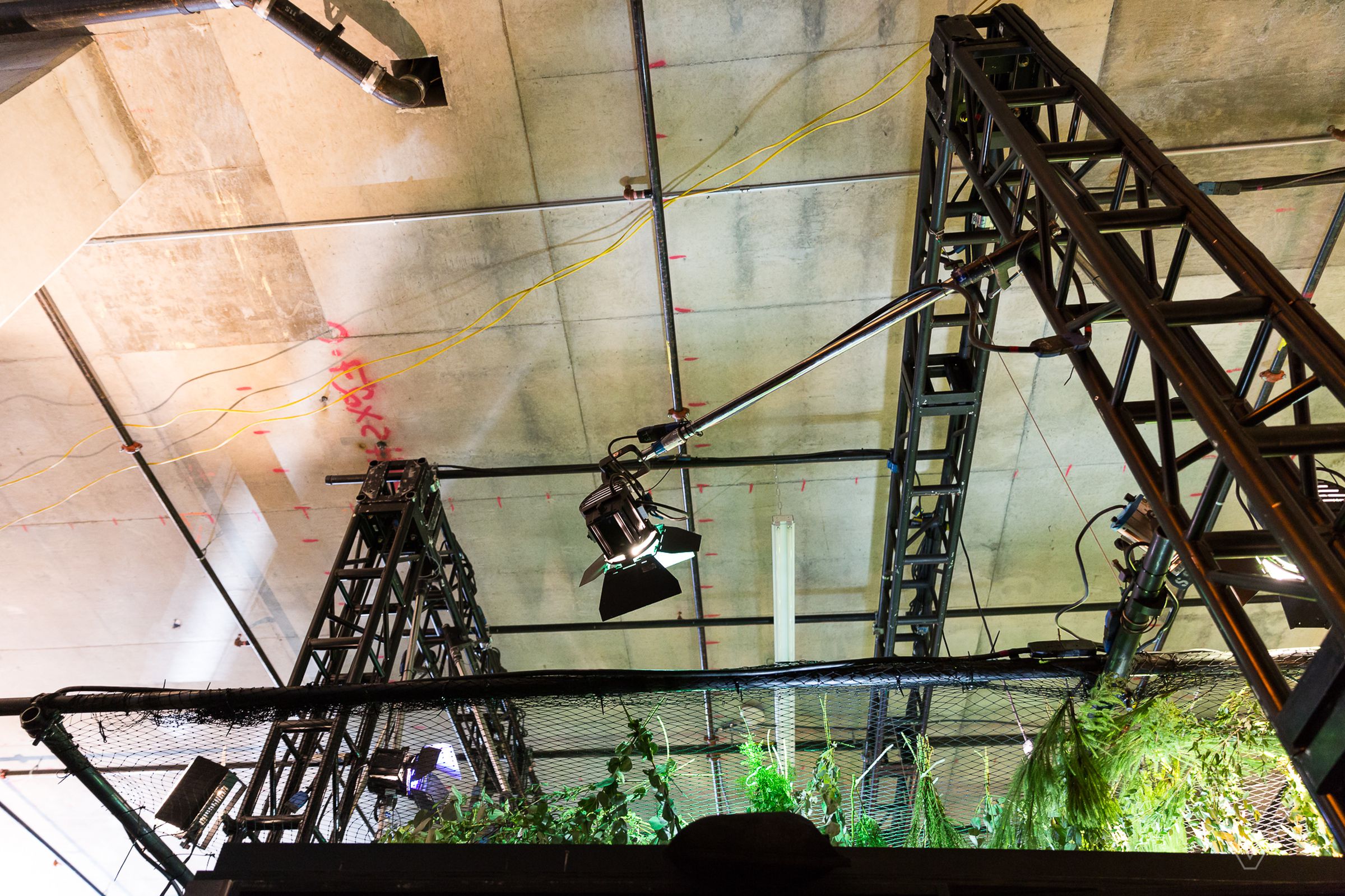 While it may look like a real forest, a glimpse behind the scenes shows the very real ceiling and light rigs hidden above