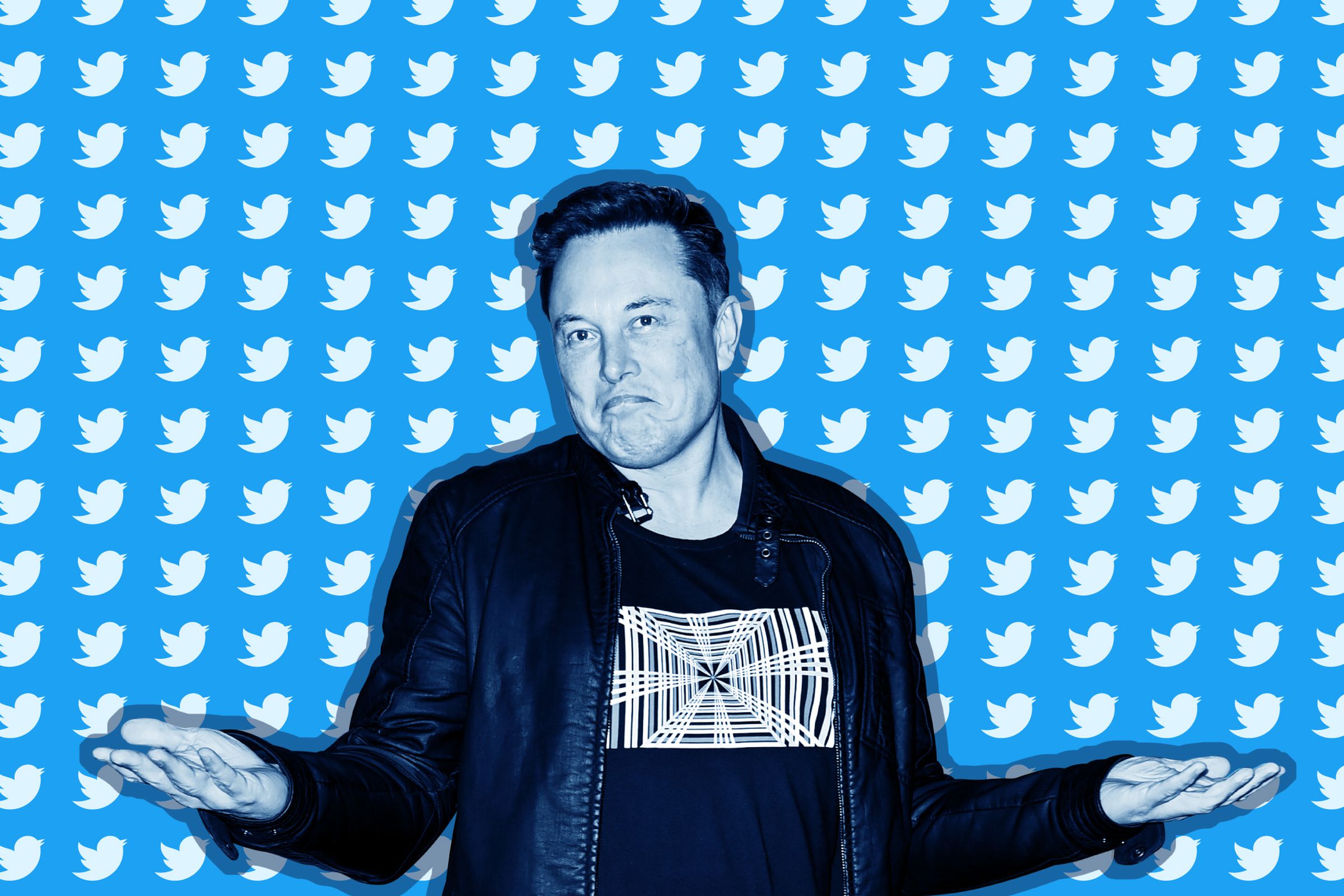 Who should be the next CEO of Twitter?