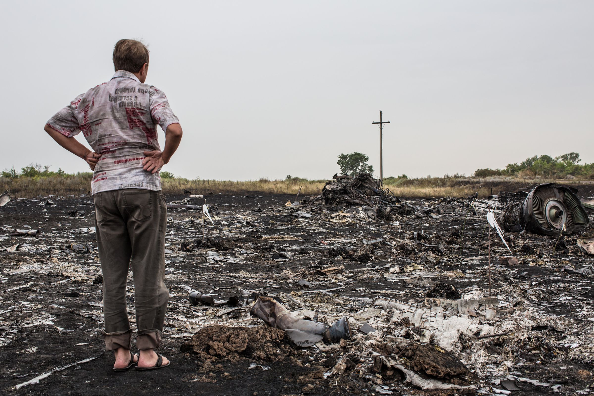 A man stares at the wreckage of Malaysian Airlines flight MH17 near Donestk, Ukraine.