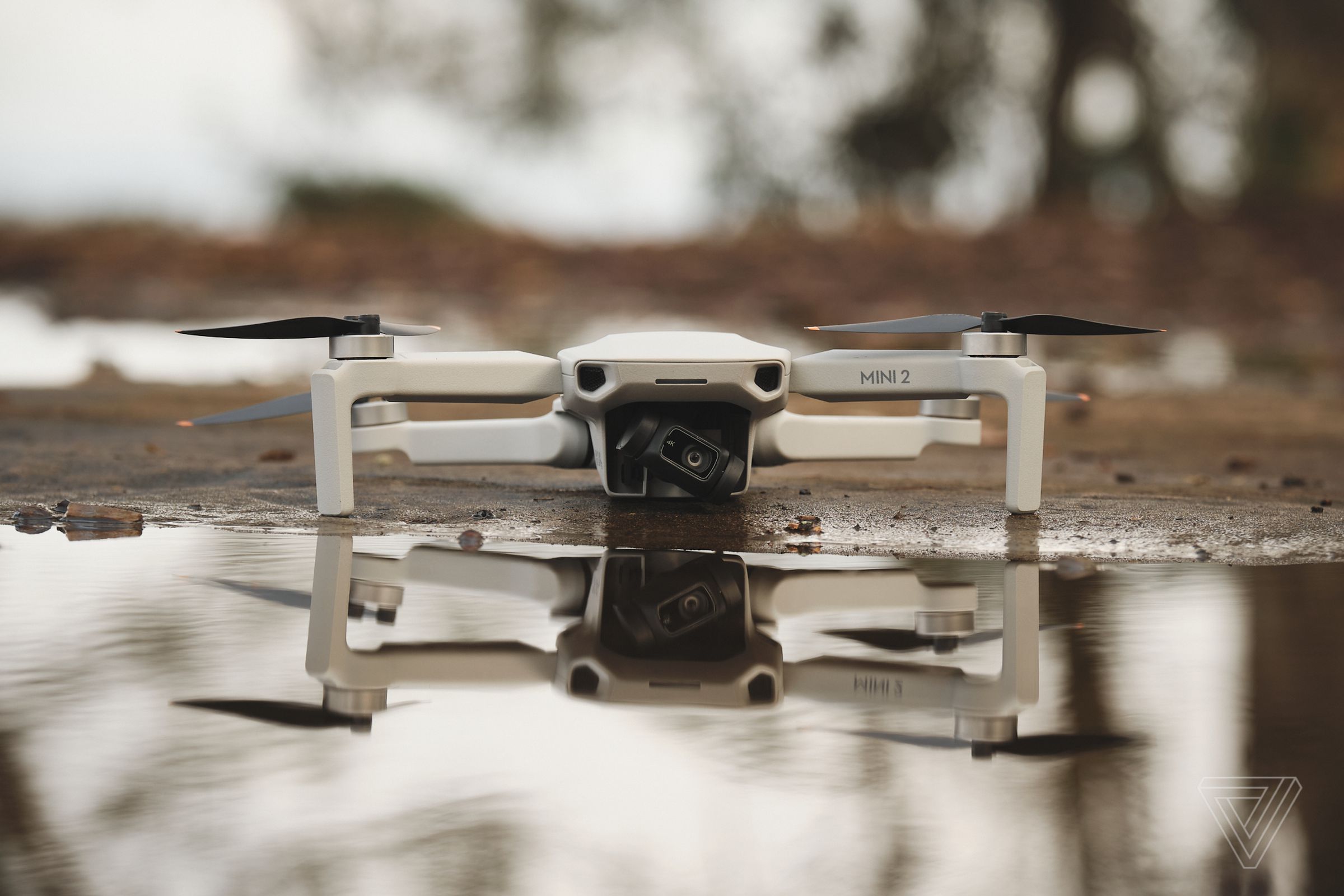 The DJI Mini 2 is a small but formidable drone that travels light.