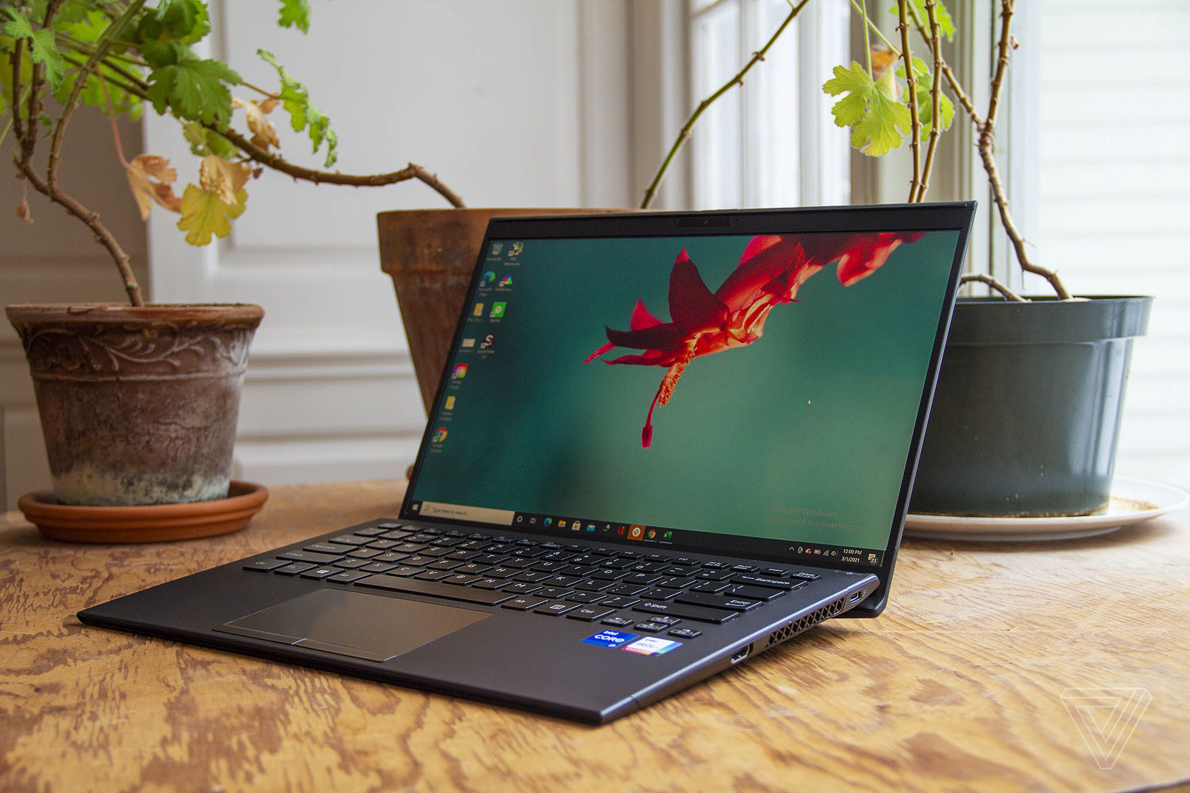 The Vaio Z on a table with three potted plants in the background, open and angled to the left. The screen displays a red flower on a blue background.