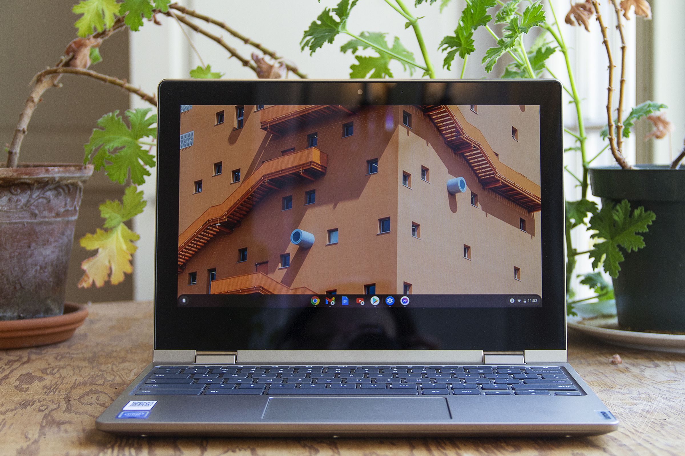 The Lenovo Ideapad Flex 3 Chromebook sits open on a table in front of two houseplants. The screen displays the upper windows of a large building.