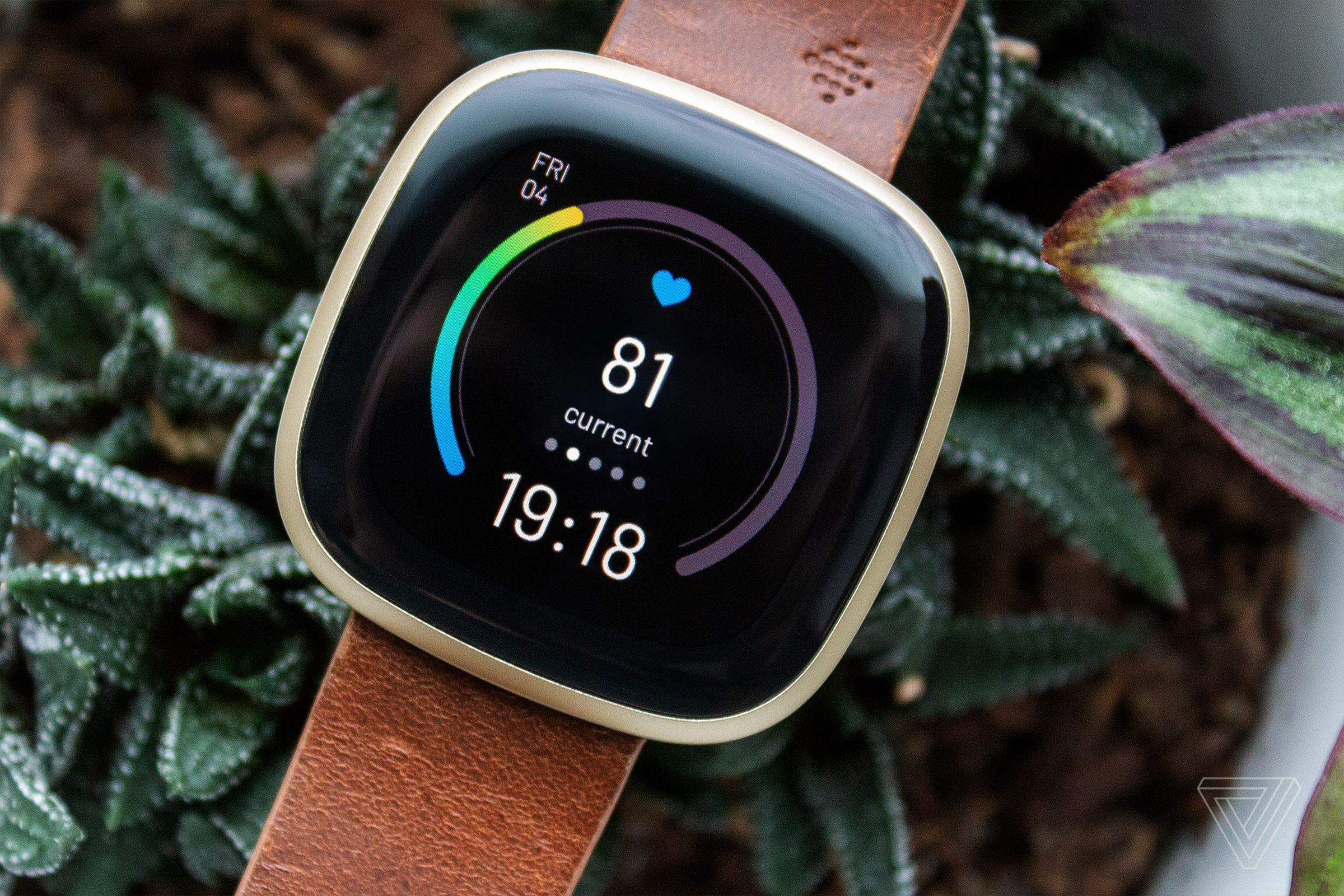 Many smartwatches, including the Fitbit Versa 3, will allow you to view heart rate from your watchface