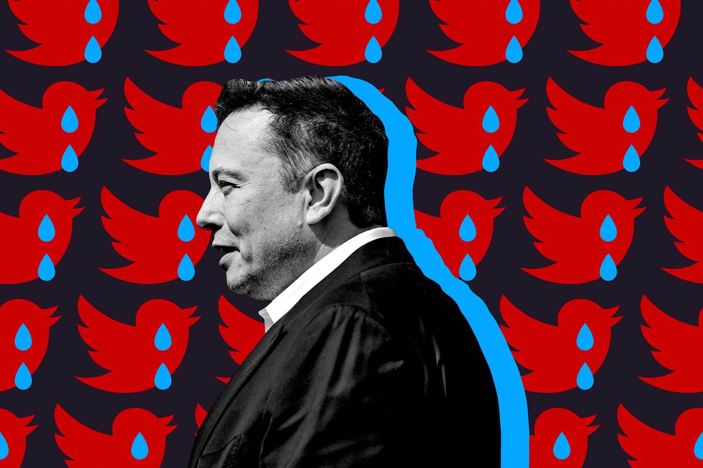 Elon Musk thinks Twitter is real life