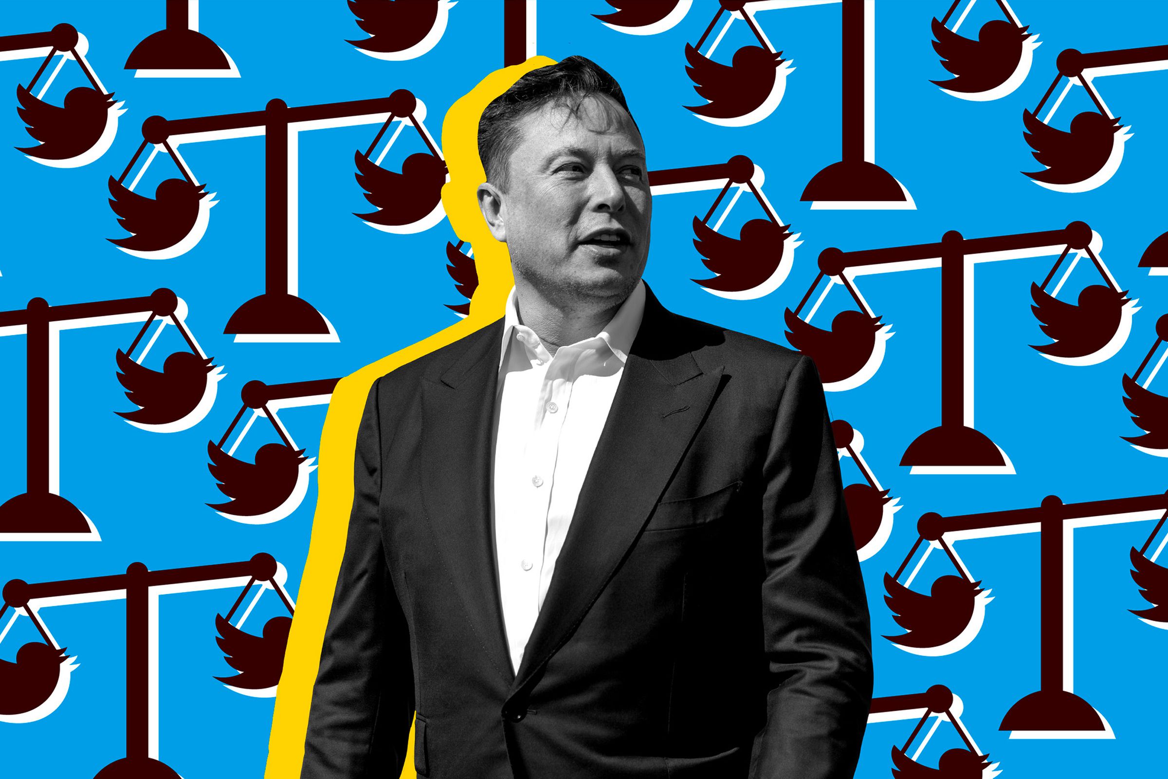 A photo of Elon Musk against a background with the Twitter logo and the scales of justice.