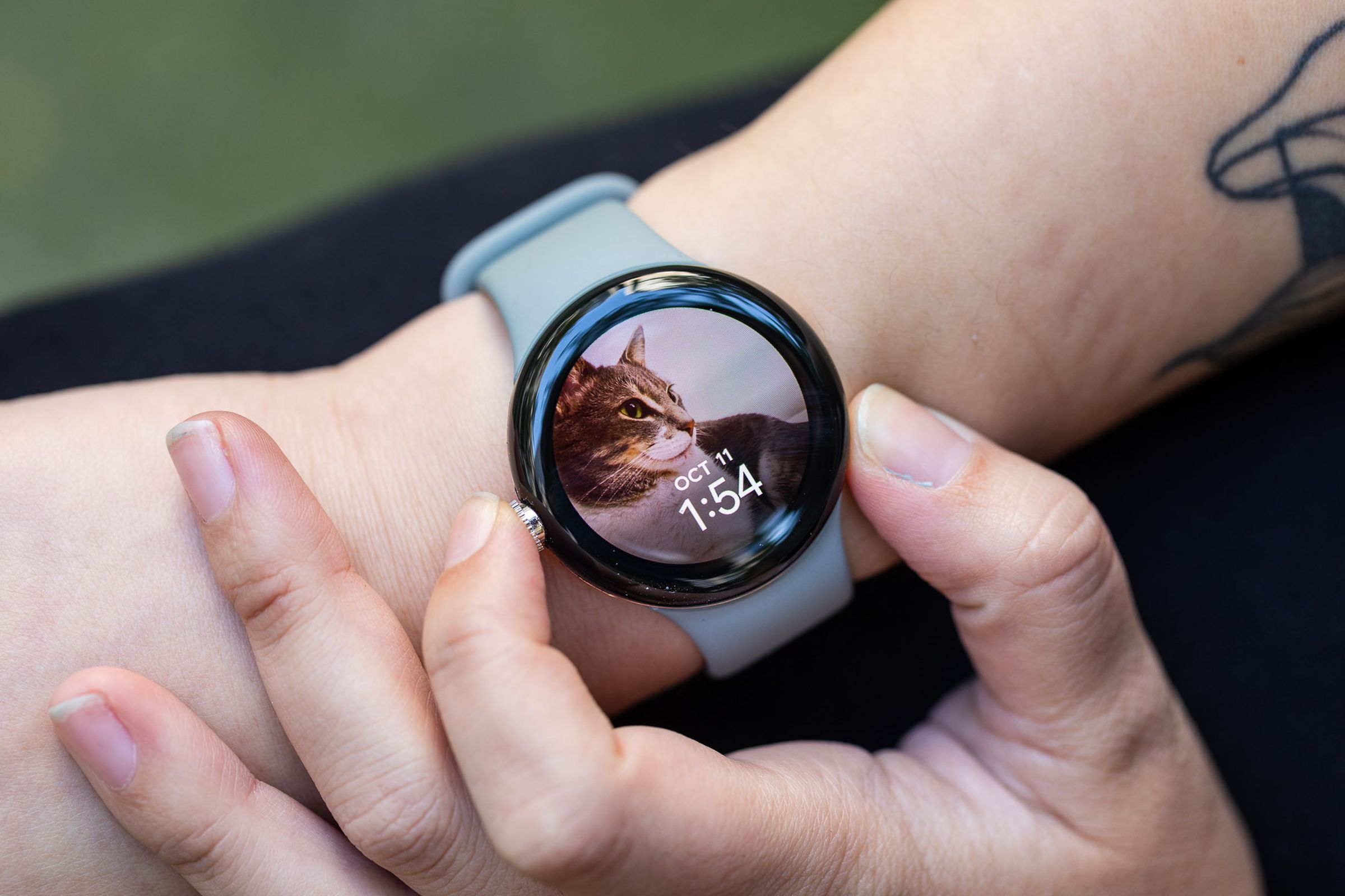 Pixel Watch with Photos watchface featuring a cat displaying thick bezels