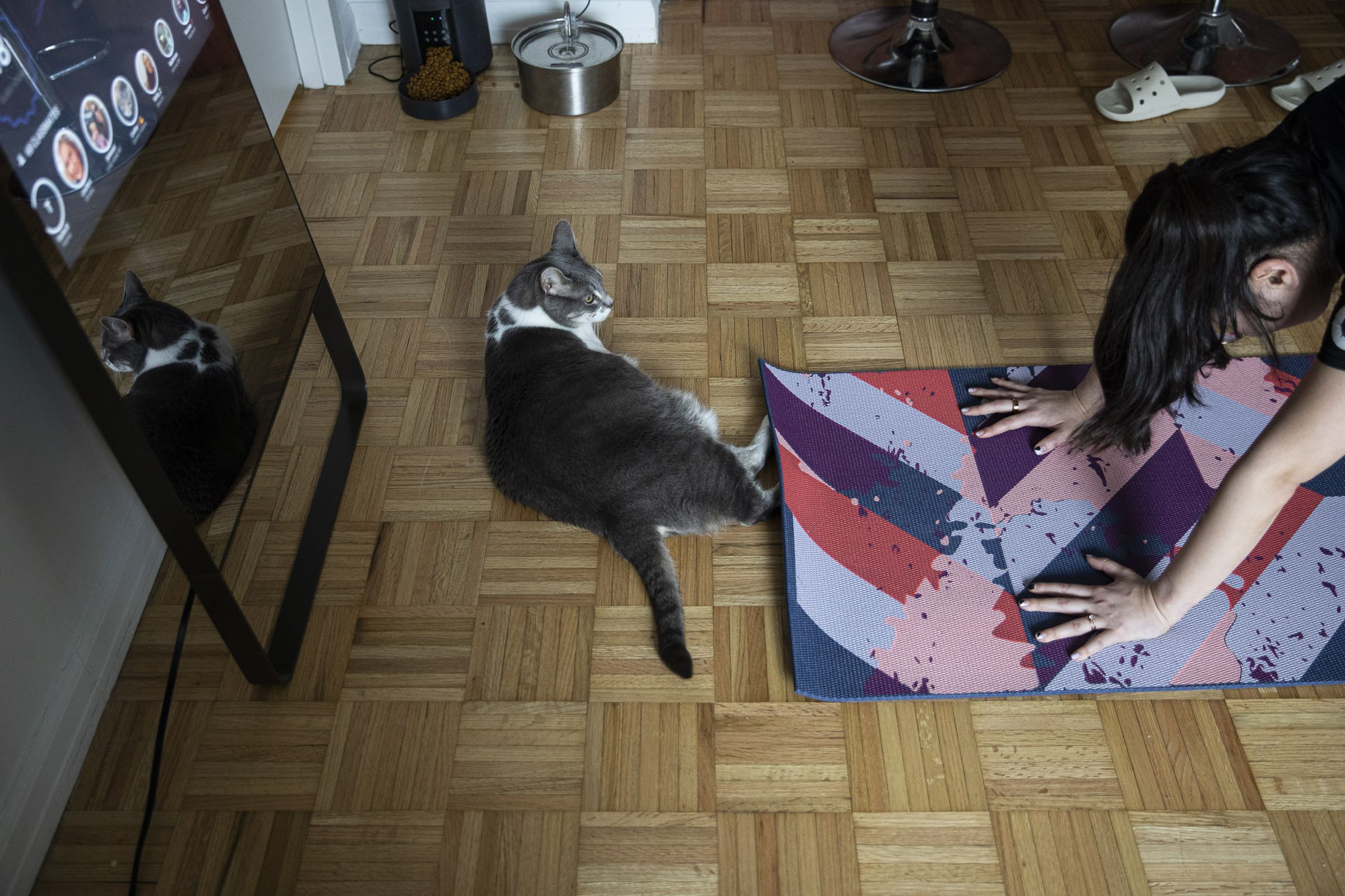 Cat sits on floor in center of photo, watching woman exercising on colorful mat on right.