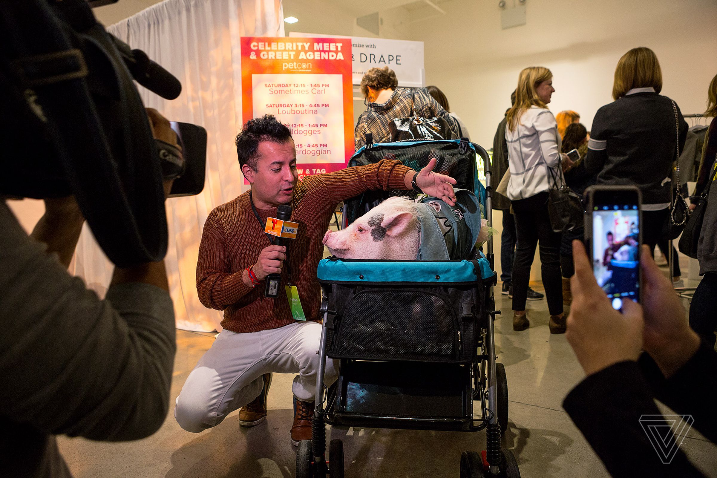 Hamlet (@hamlet_the_piggy) is surrounded by admirers and press at PetCon. Hamlet’s owner, Melanie Garcia, quit her full-time job a year ago to focus on creating content.