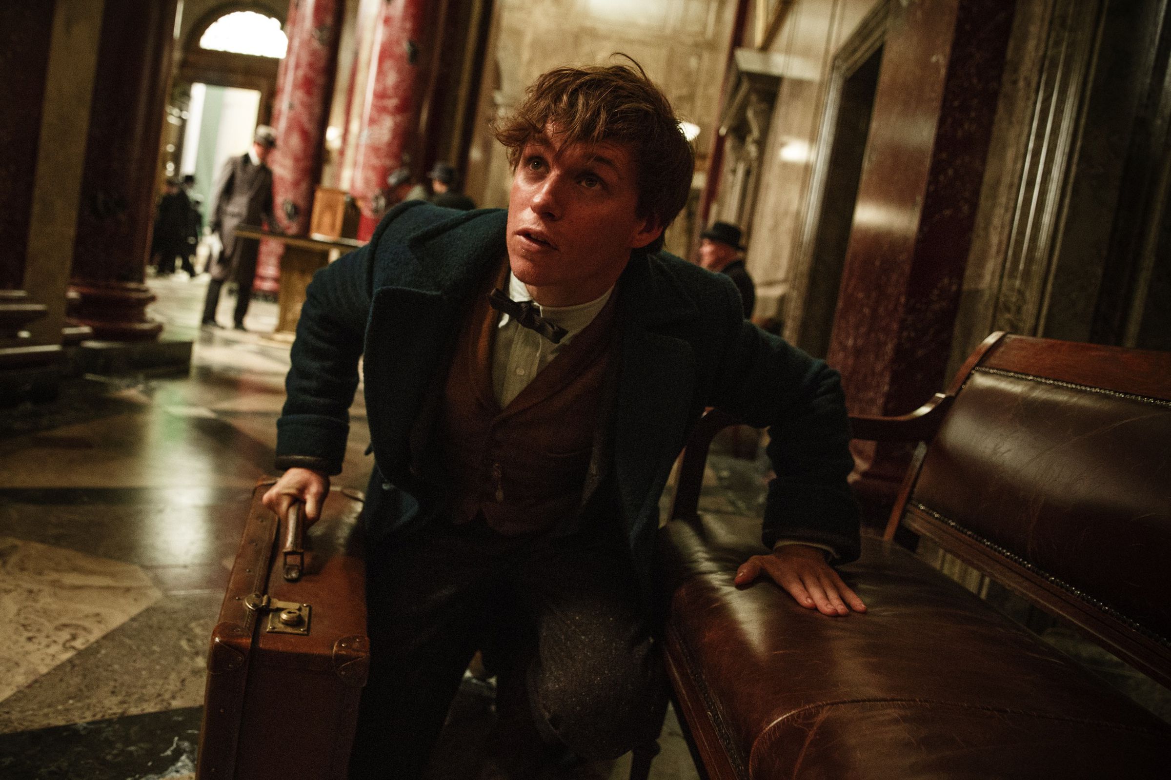 Fantastic Beasts and Where to Find Them promotional still