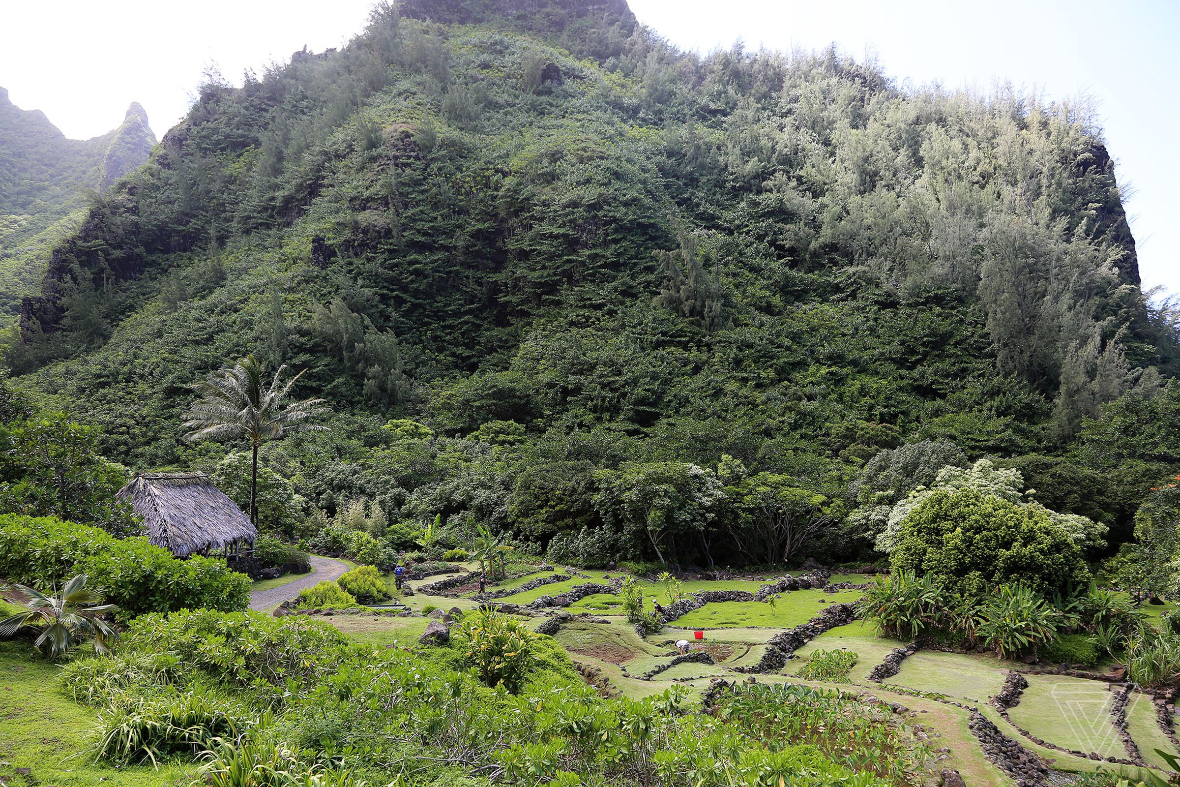 The 1,000-acre Limahuli preserve on the Hawaiian island of Kauaʻi.