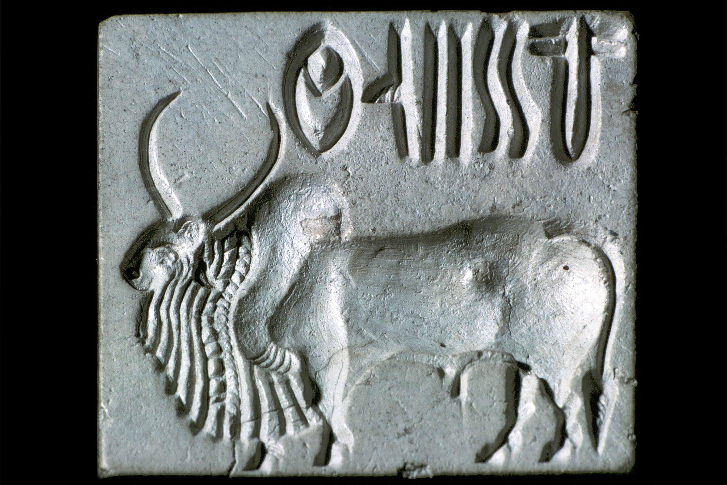 Steatite seal with humped bull, Indus Valley, Mohenjo-Daro, 2500–2000 BC.