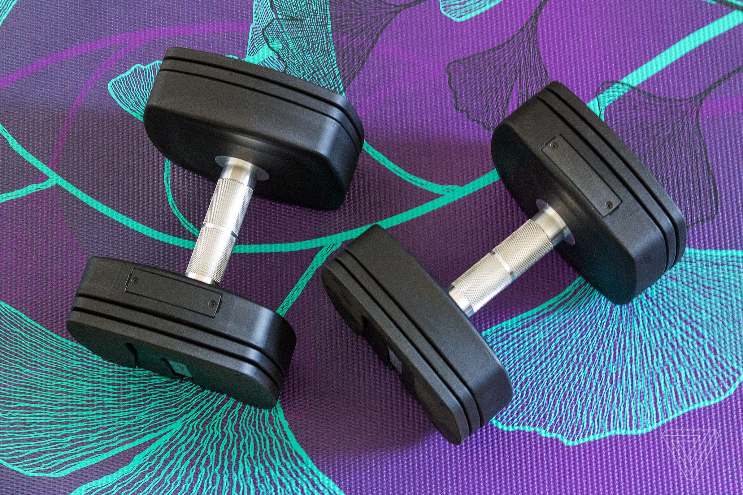 The NordicTrack iSelect Adjustable Dumbbells can be controlled with Alexa.