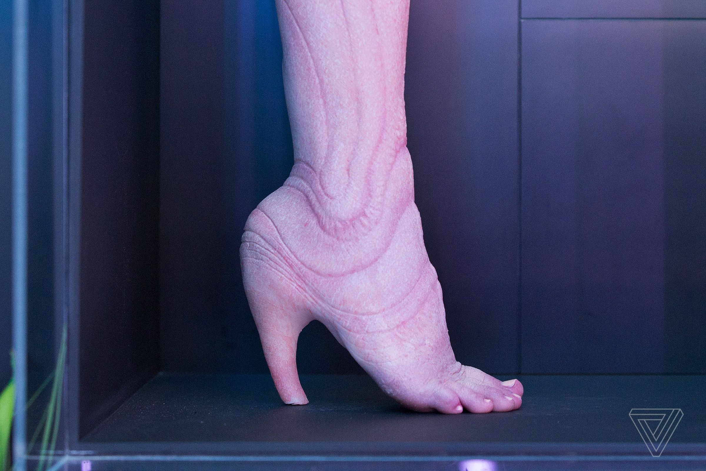 Viper is part of A. Human’s ‘biological heel’ series. It is displayed here on a live model.