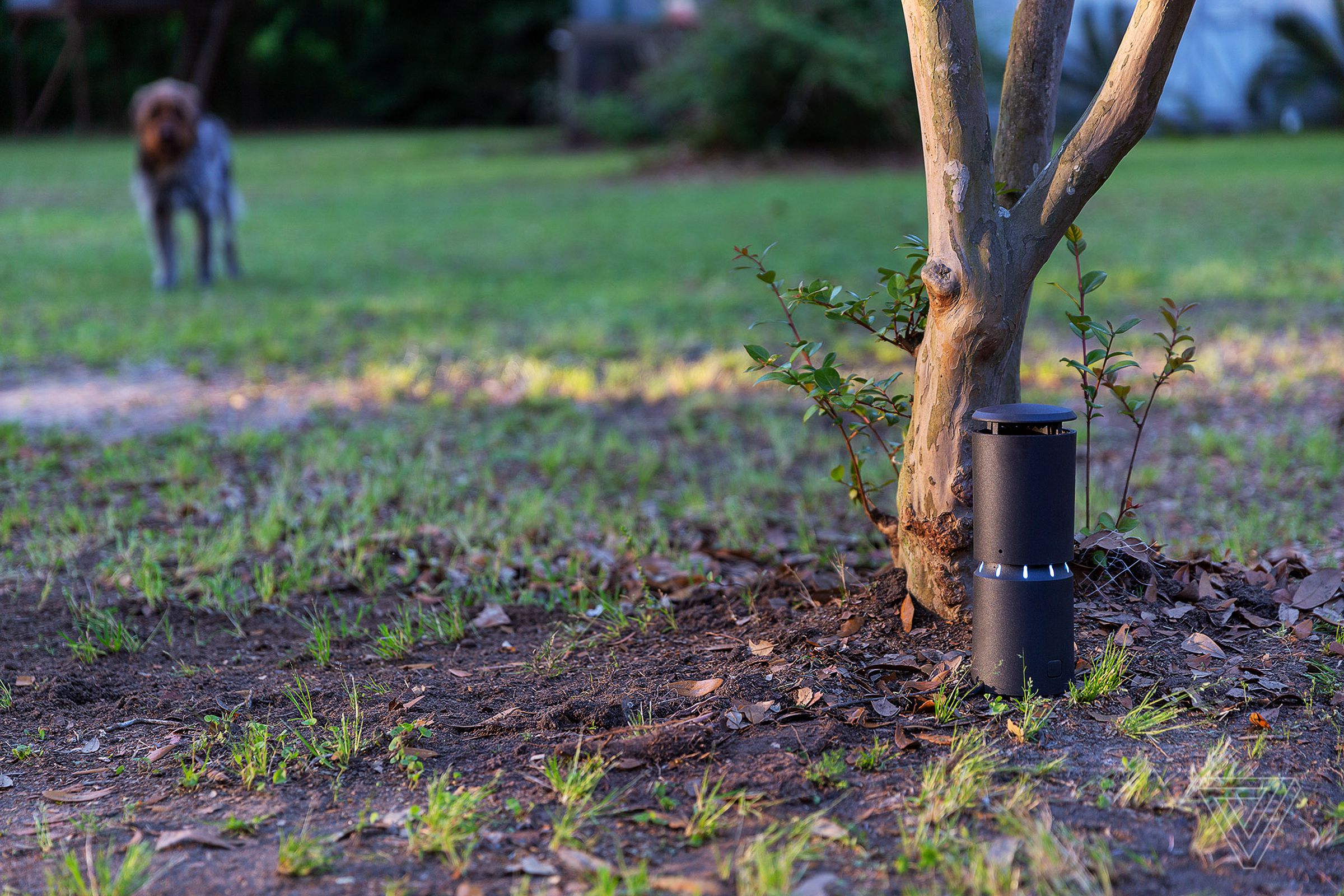 Liv is Thermacell’s first smart mosquito repellent system for your home.
