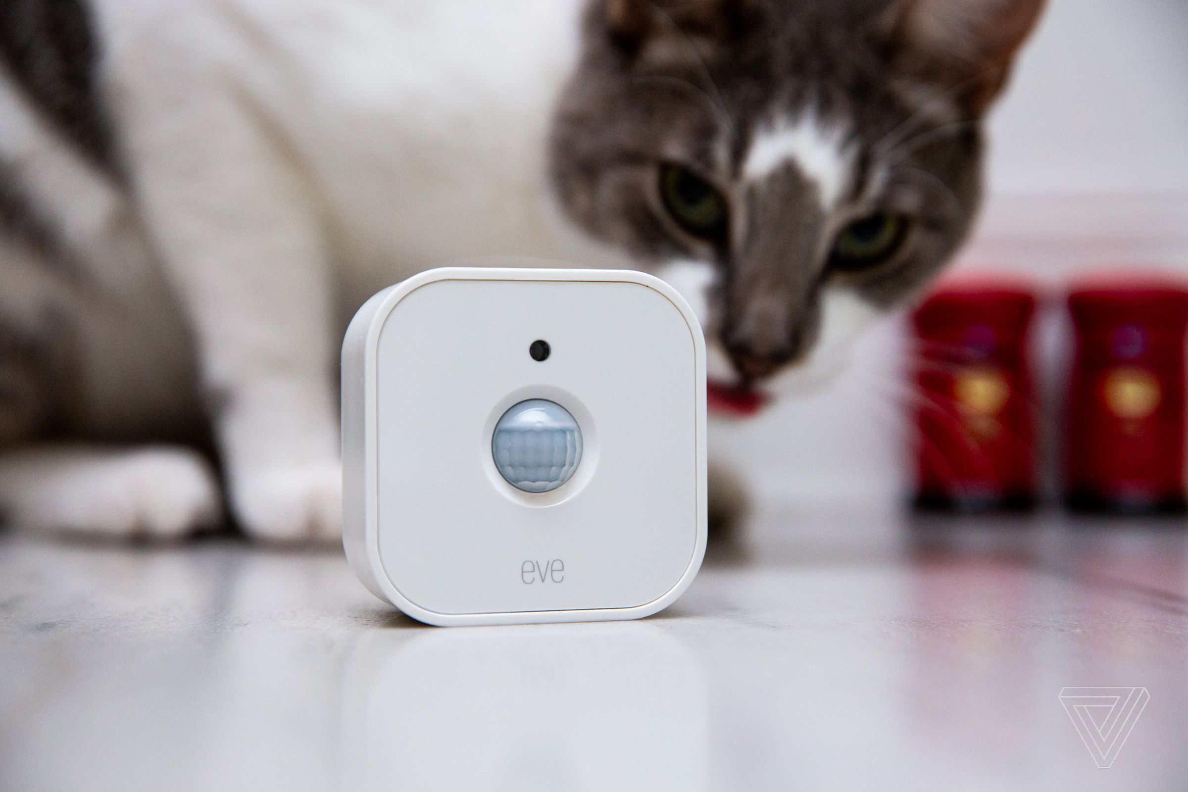 A white motion sensor in front of a cat.