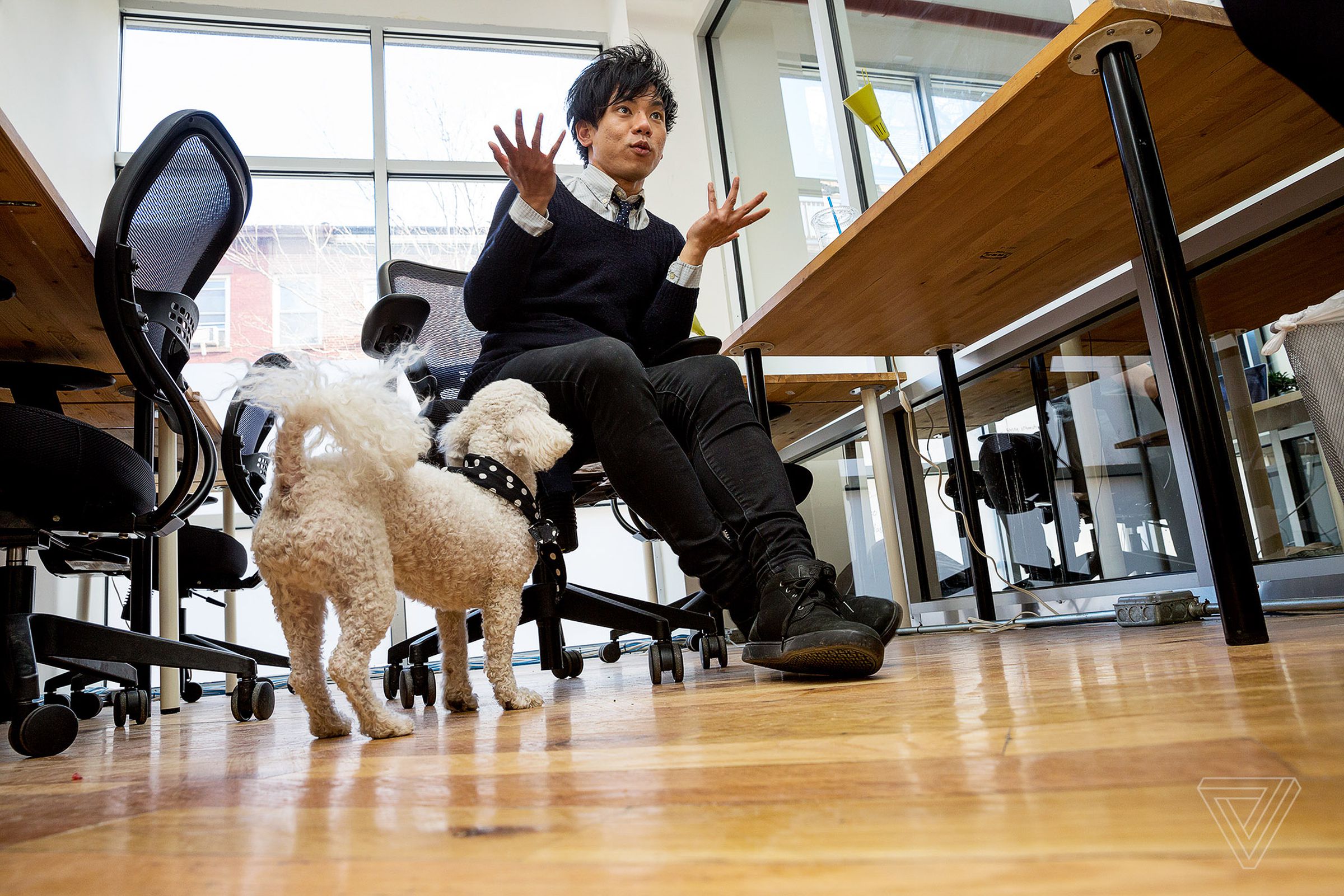 Brad Kim with his dog Mugatu in the Know Your Meme office in Williamsburg, New York.