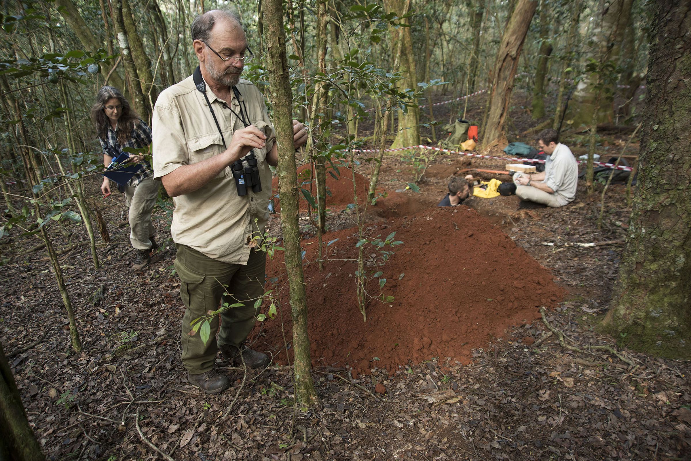 Botanist Jonathon Timberlake, center, works with Joanna Osborne, left, to measure tree thickness and type in the plot set out by Professor Simon Willcock, sitting, while Professor Phil Platts from the University of York who stands in the test pit on top of Mount Lico.
