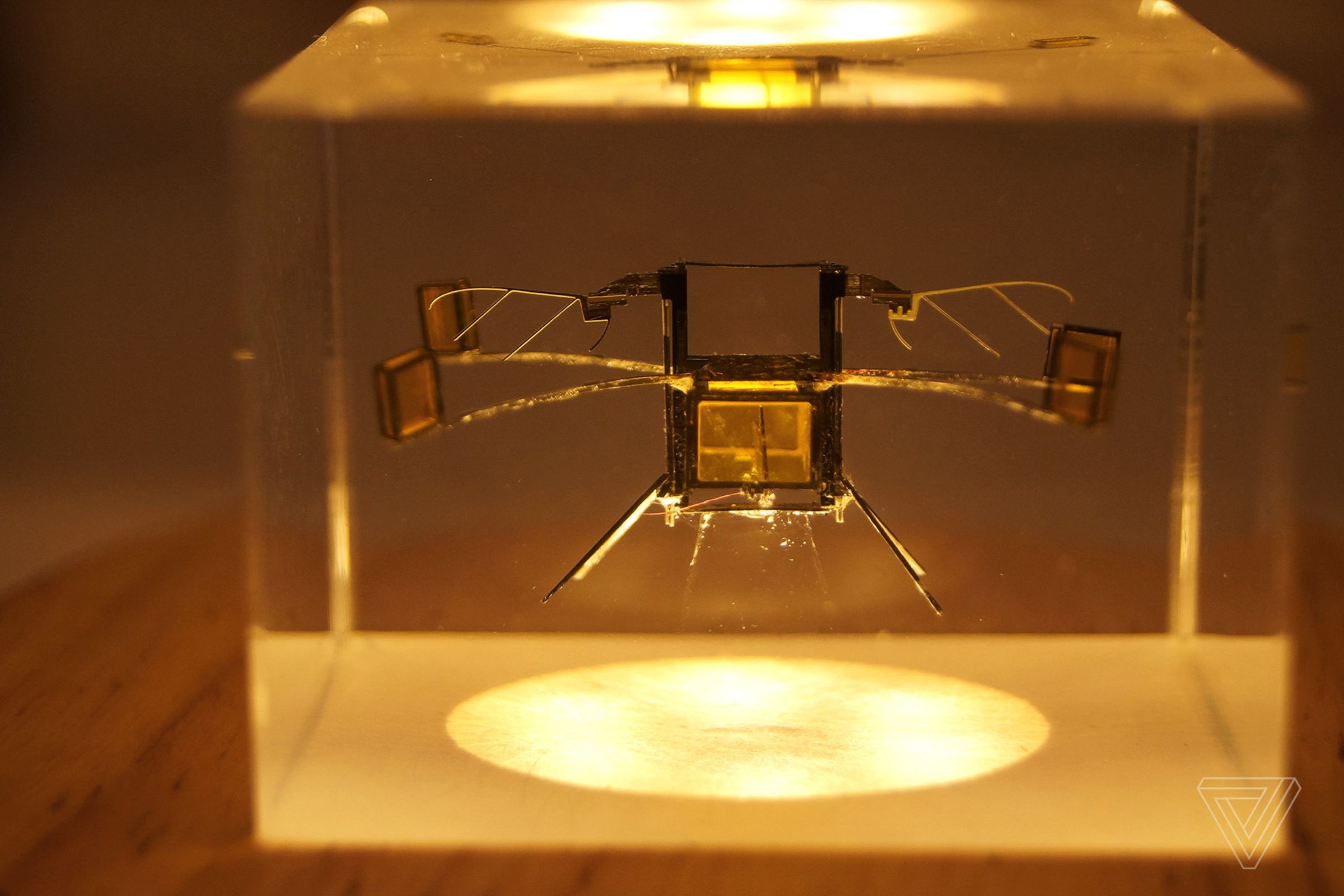 A robot insect built by Harvard scientists encased in resin. 