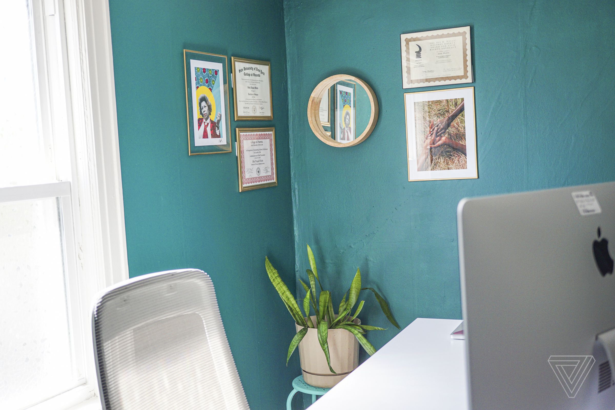 A Toni Morrison print by Zoë Sinclair (on the wall, left) and Medusa, the snake plant.