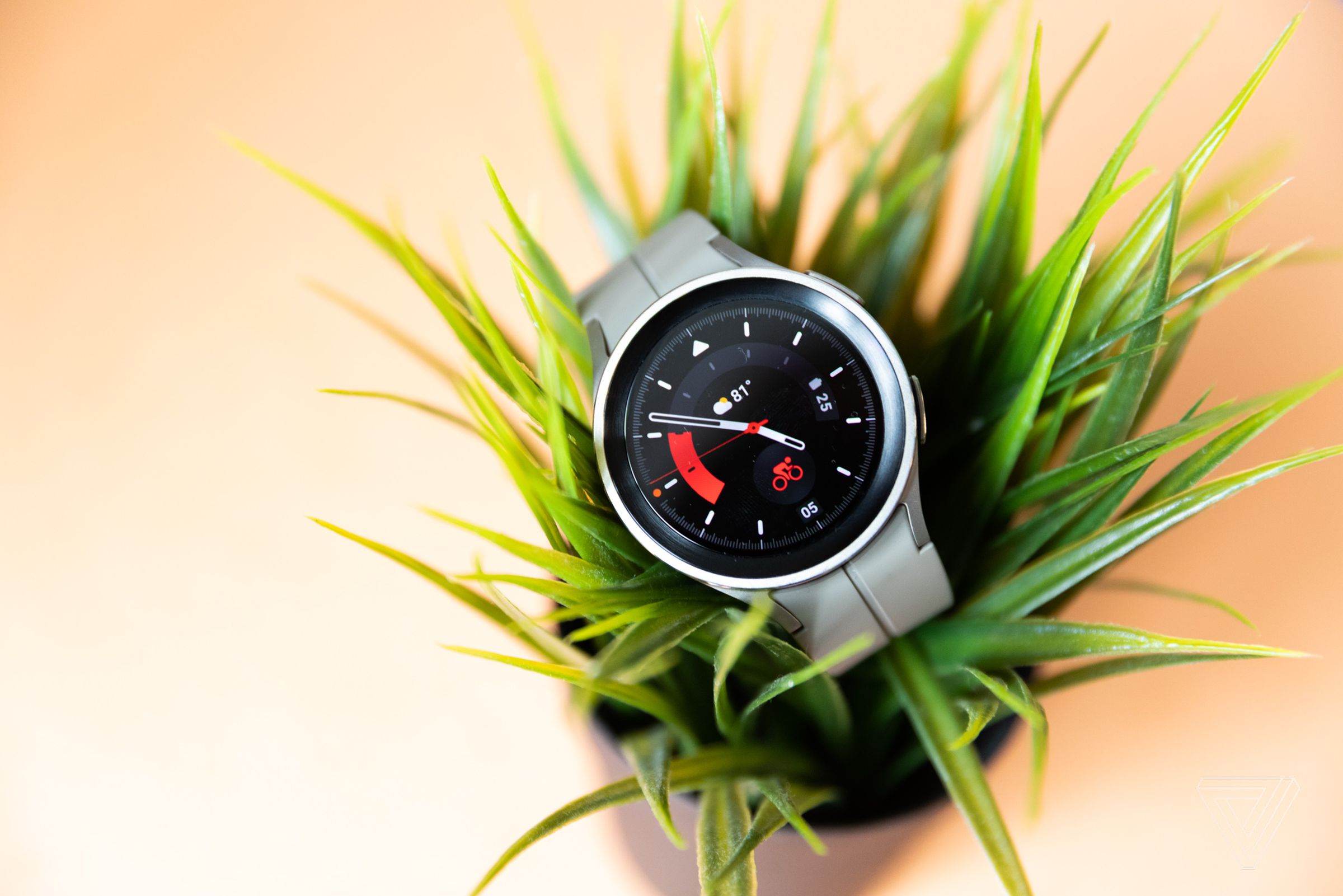 Pic of the Galaxy Watch 5 Pro on a plant