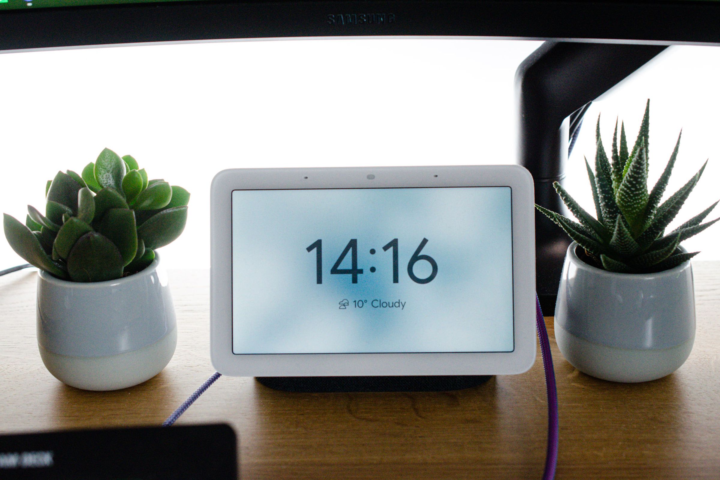 A Google Nest hub showing the time. There are two small plants on each side.