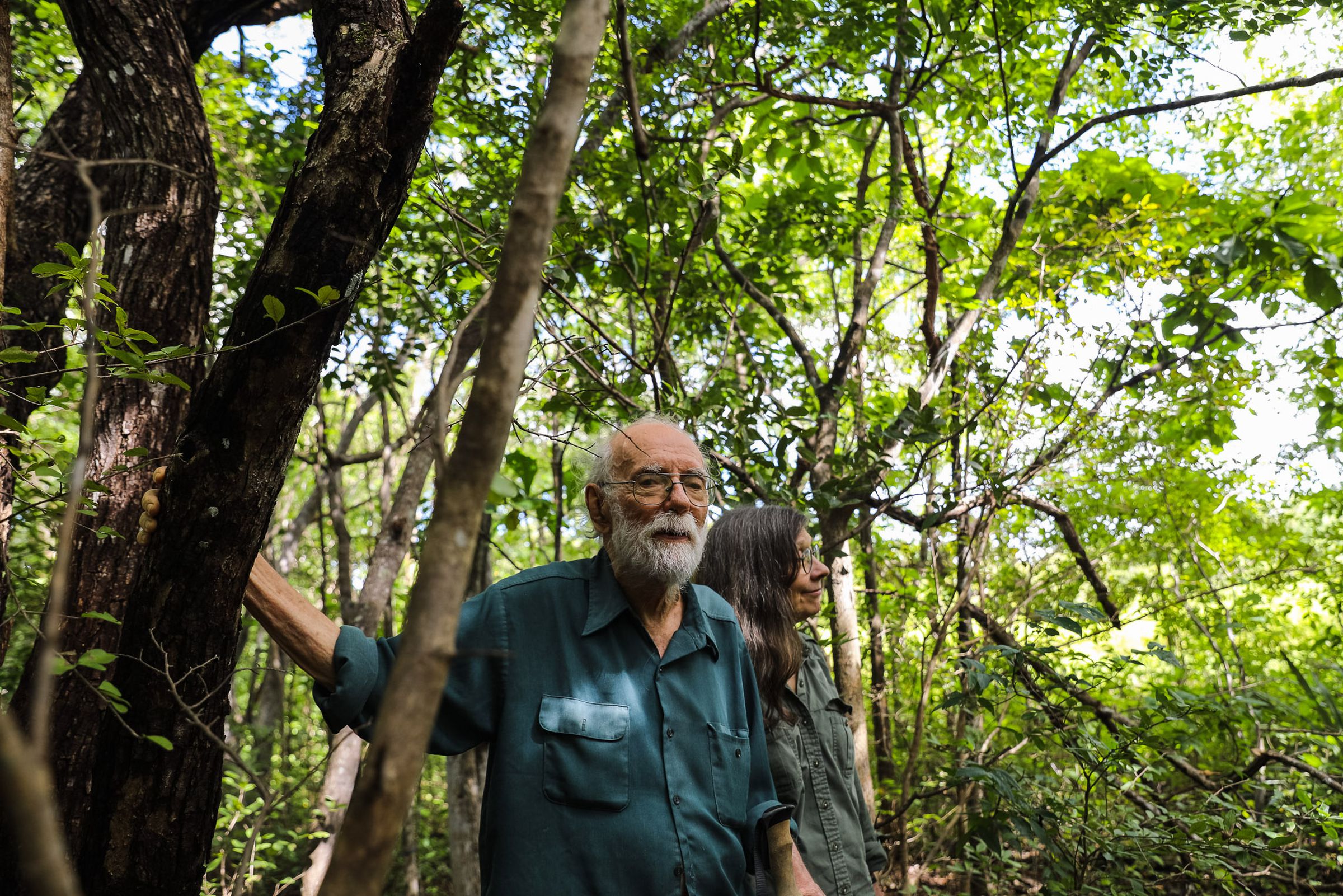 An older man and woman stand side by side in a forest with young trees.