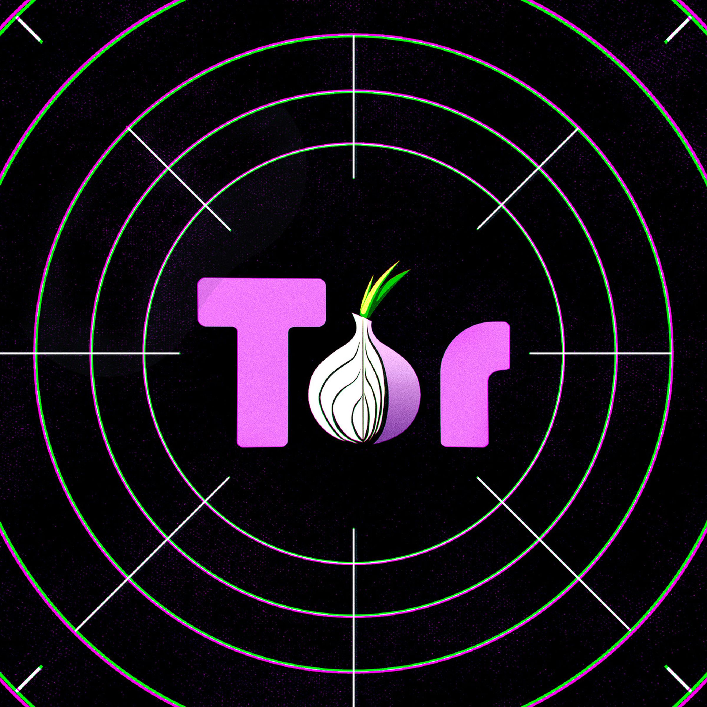The Tor logo, including an onion as the “o”, on a black background 