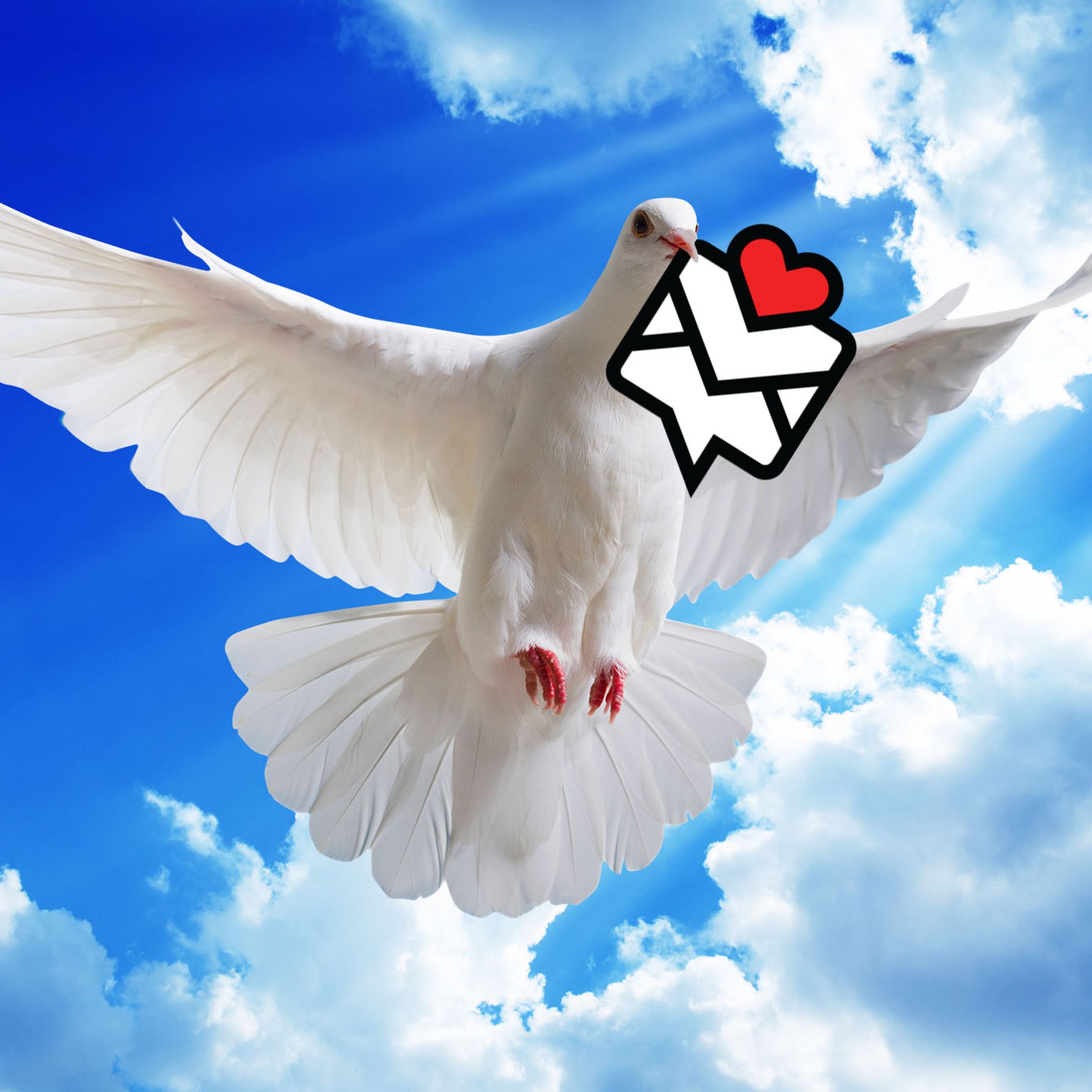Photo illustration of a white dove carrying the TinyLetter logo.