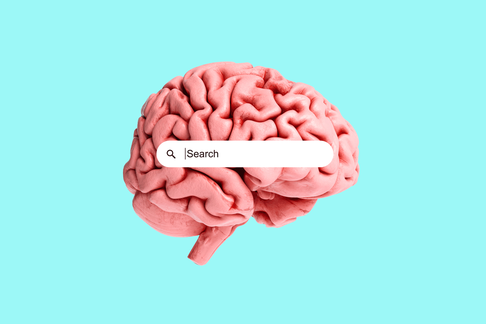 A search box on top of a human brain