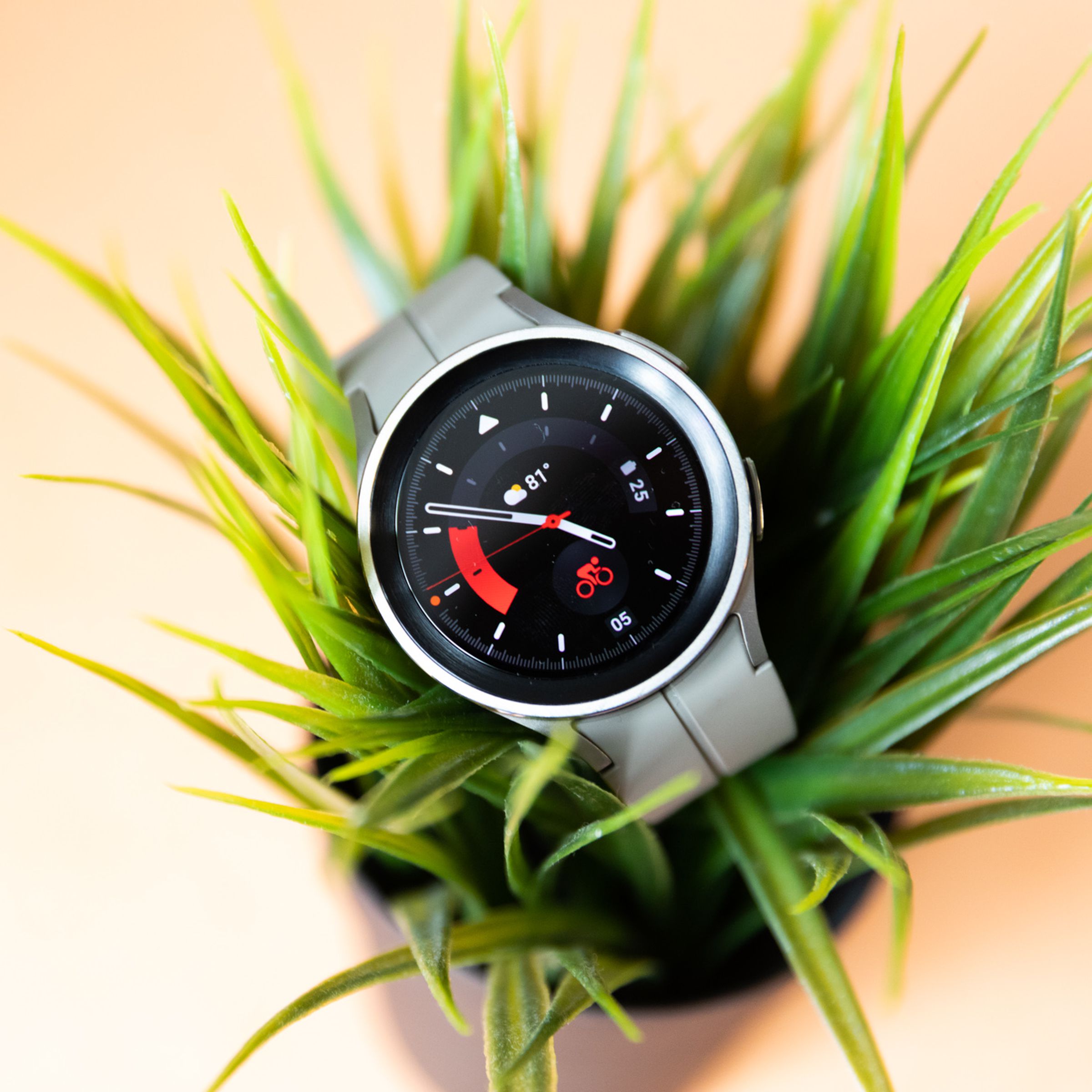 Pic of the Galaxy Watch 5 Pro on a plant