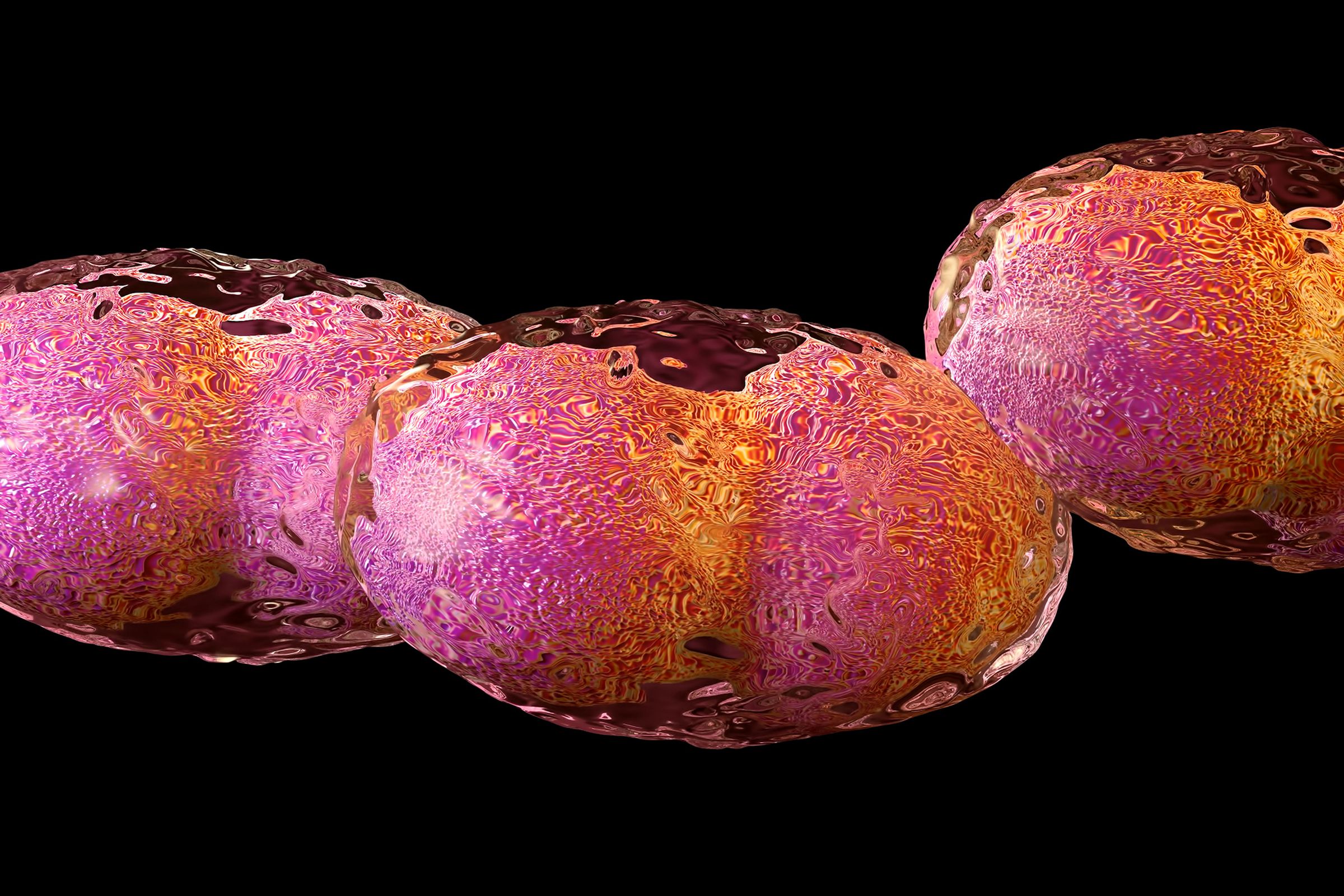An artist’s rendering of the smallpox virus