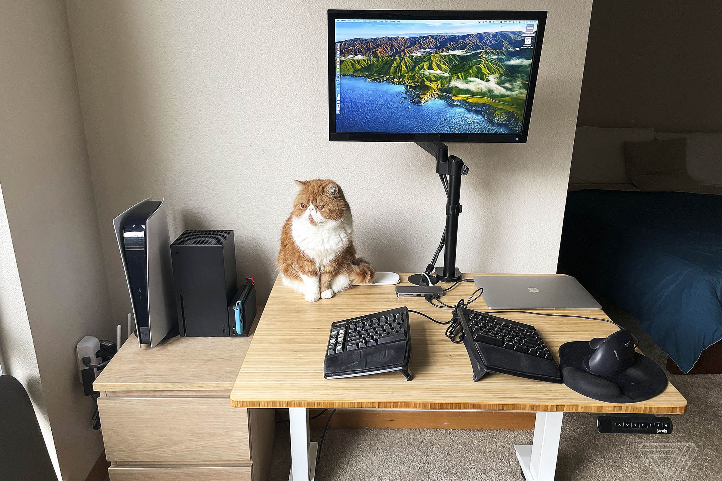 Cat sitting on desk next to monitor, keyboard, and other devices.