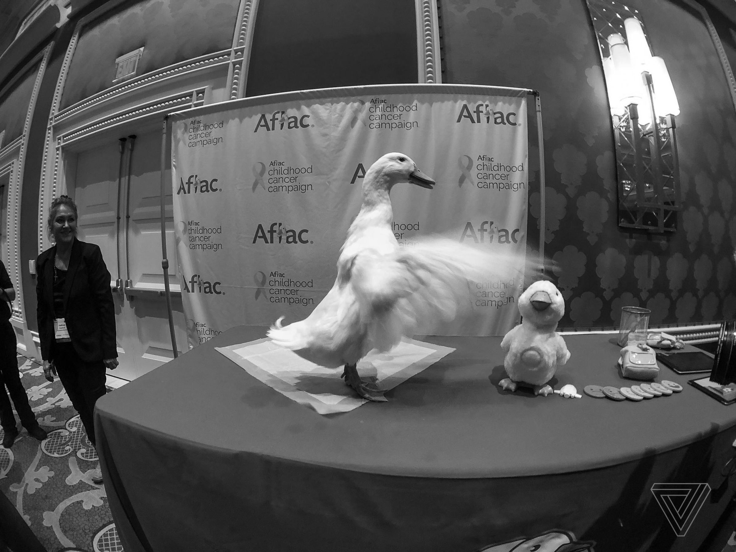 And a final reminder of what CES is all about: ducks and robots