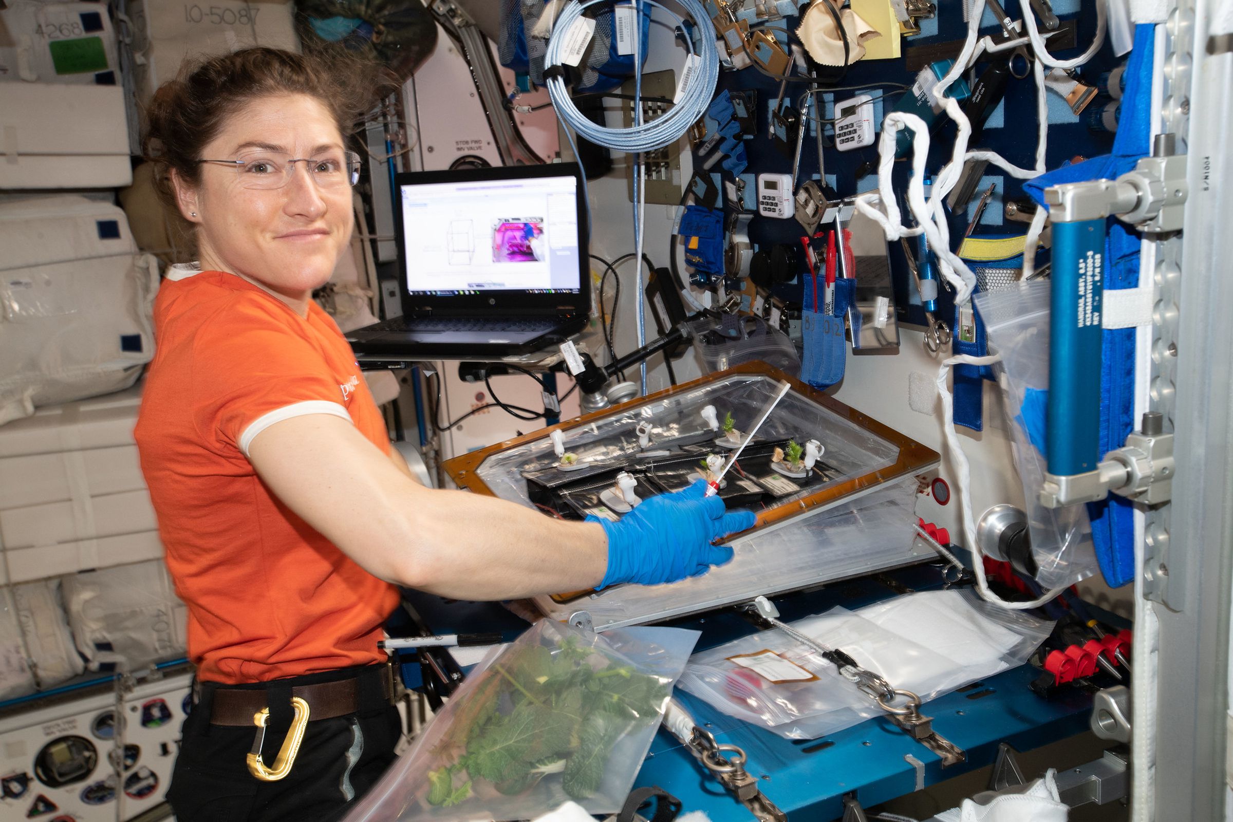 NASA astronaut Christina Koch on board the International Space Station.
