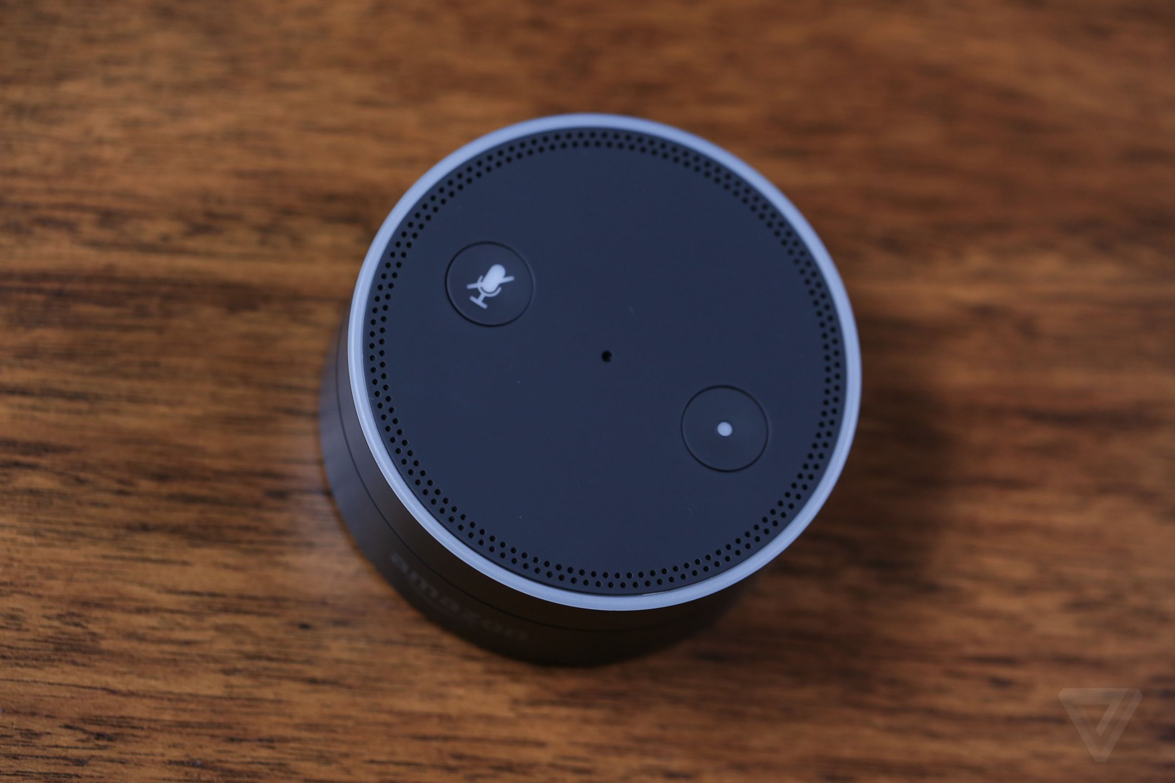Amazon Echo Dot-news-Tyler Pina
