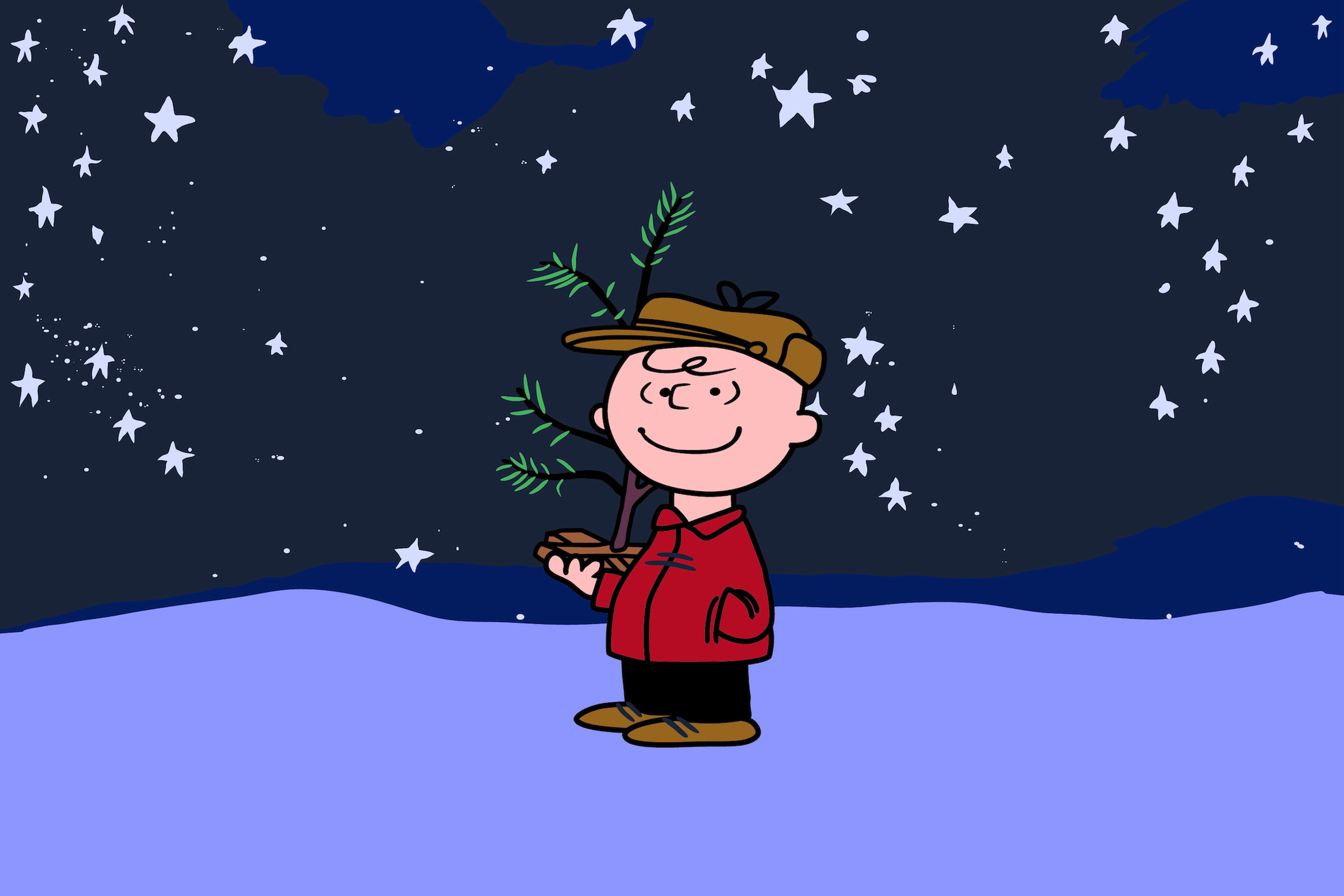 A picture of Charlie Brown holding a tiny Christmas tree.