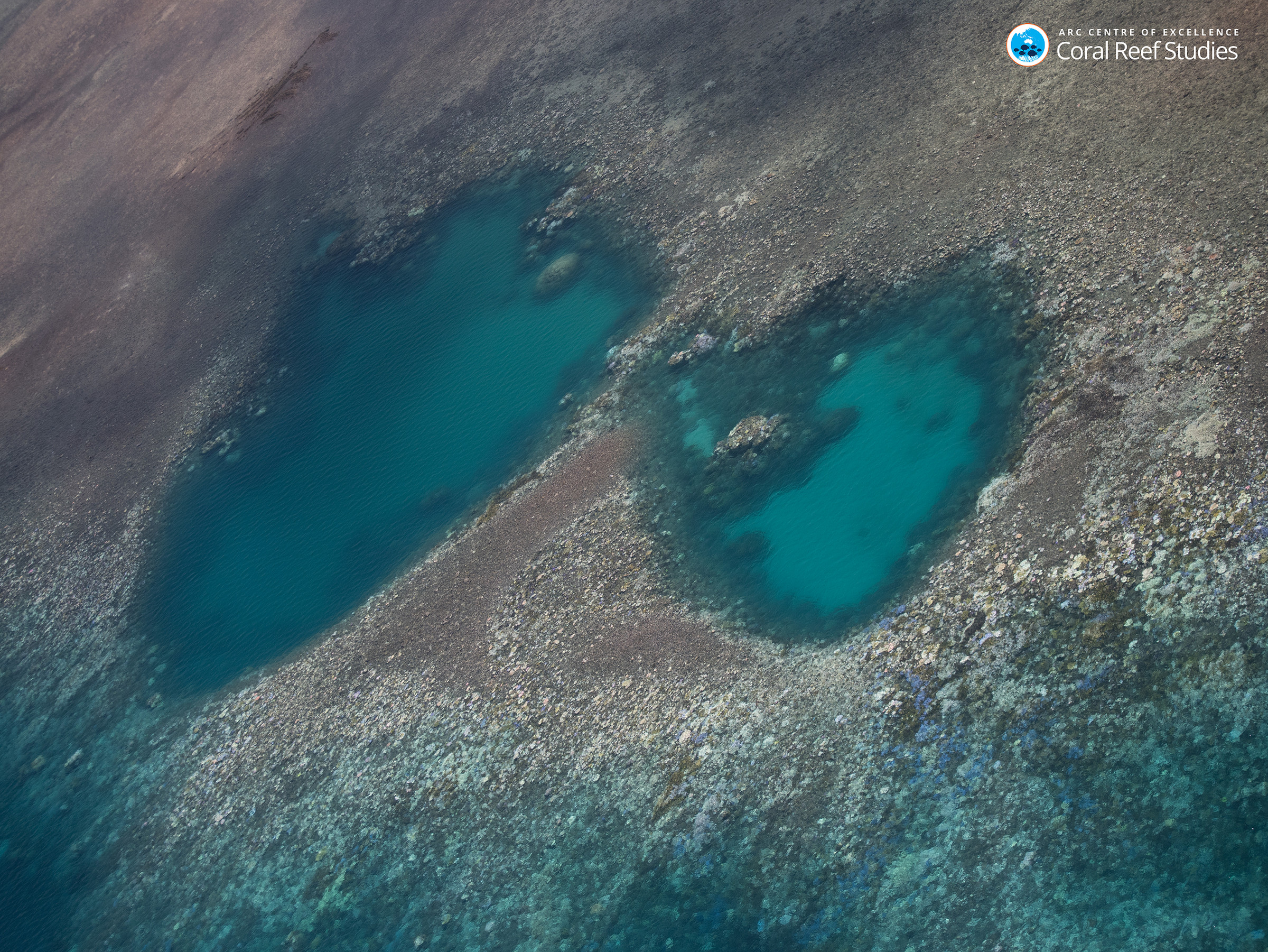 Aerial view of widespread coral bleaching, northern Great Barrier Reef, March 2016.