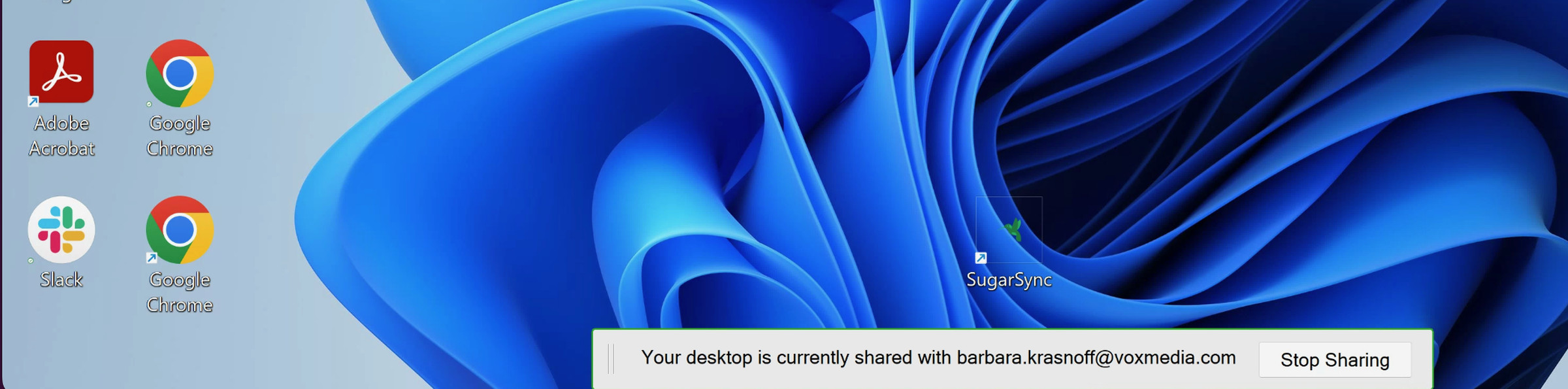 Part of a computer screen with some icons on the left, a blue flower in background, and a notification on bottom saying “Your desktop is currently being shared with barbara.krasnoff@voxmedia.com” and a button to stop sharing.