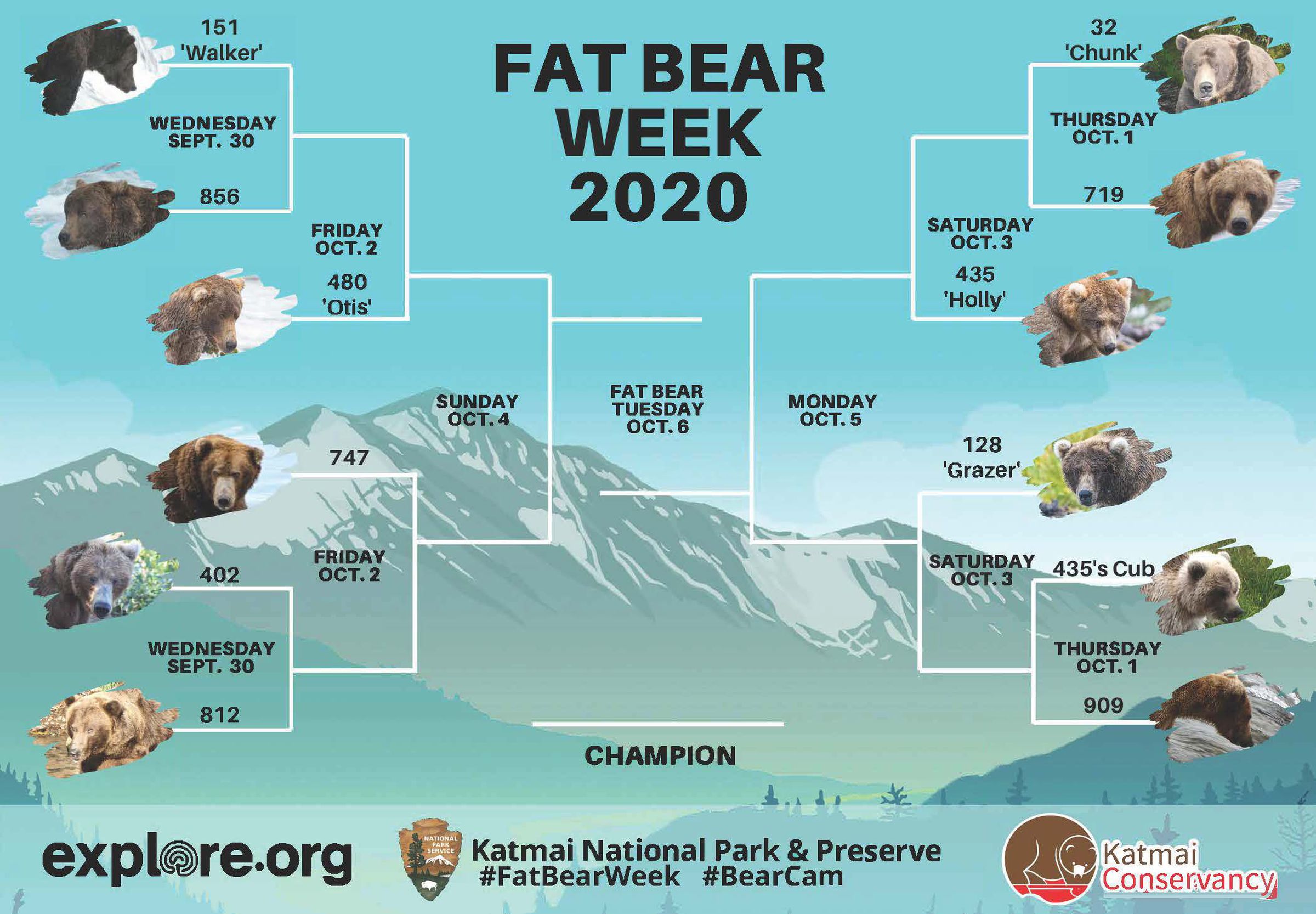 The Fat Bear Week 2020 bracket