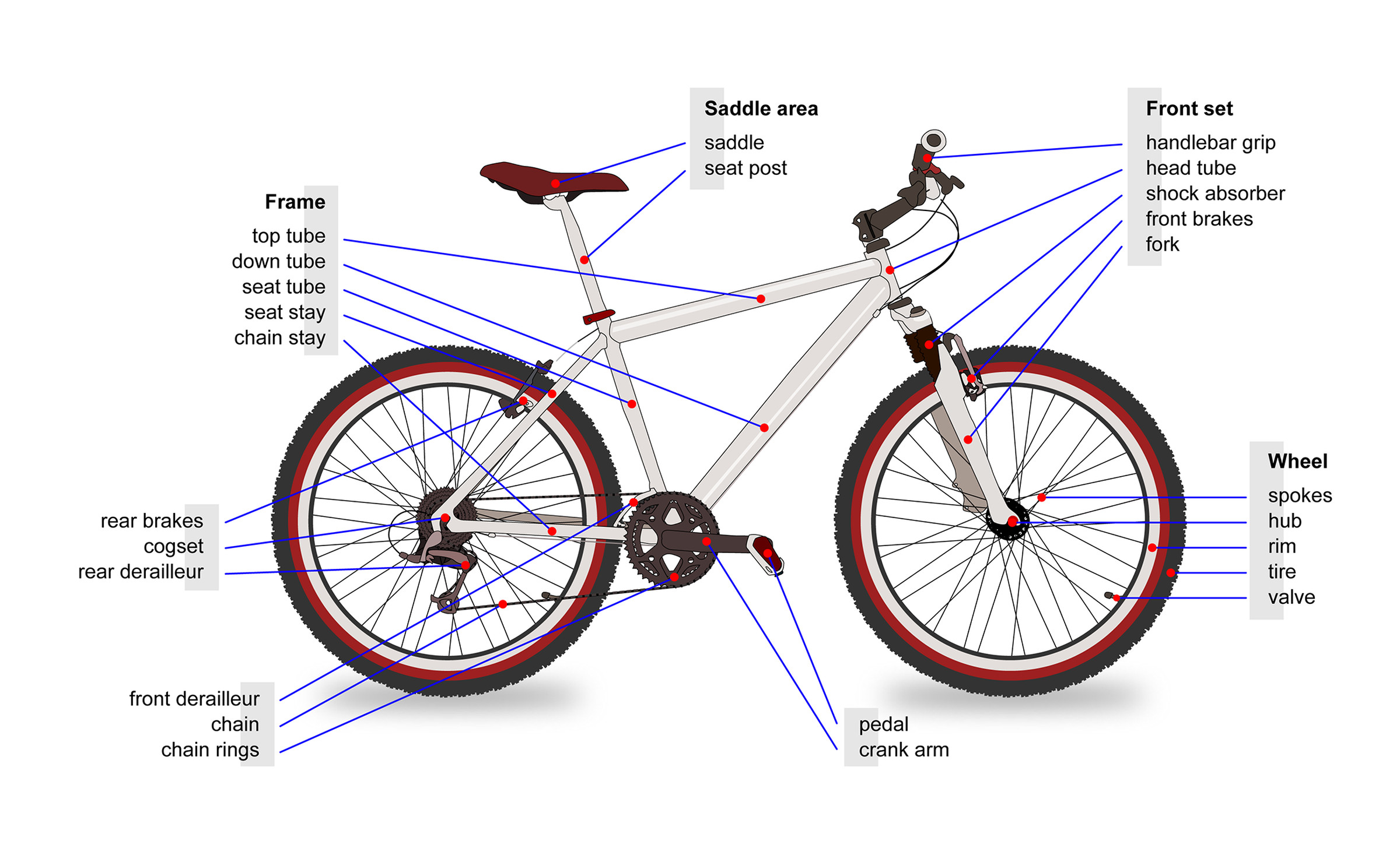 A diagram of a bicycle with all of the parts labeled.