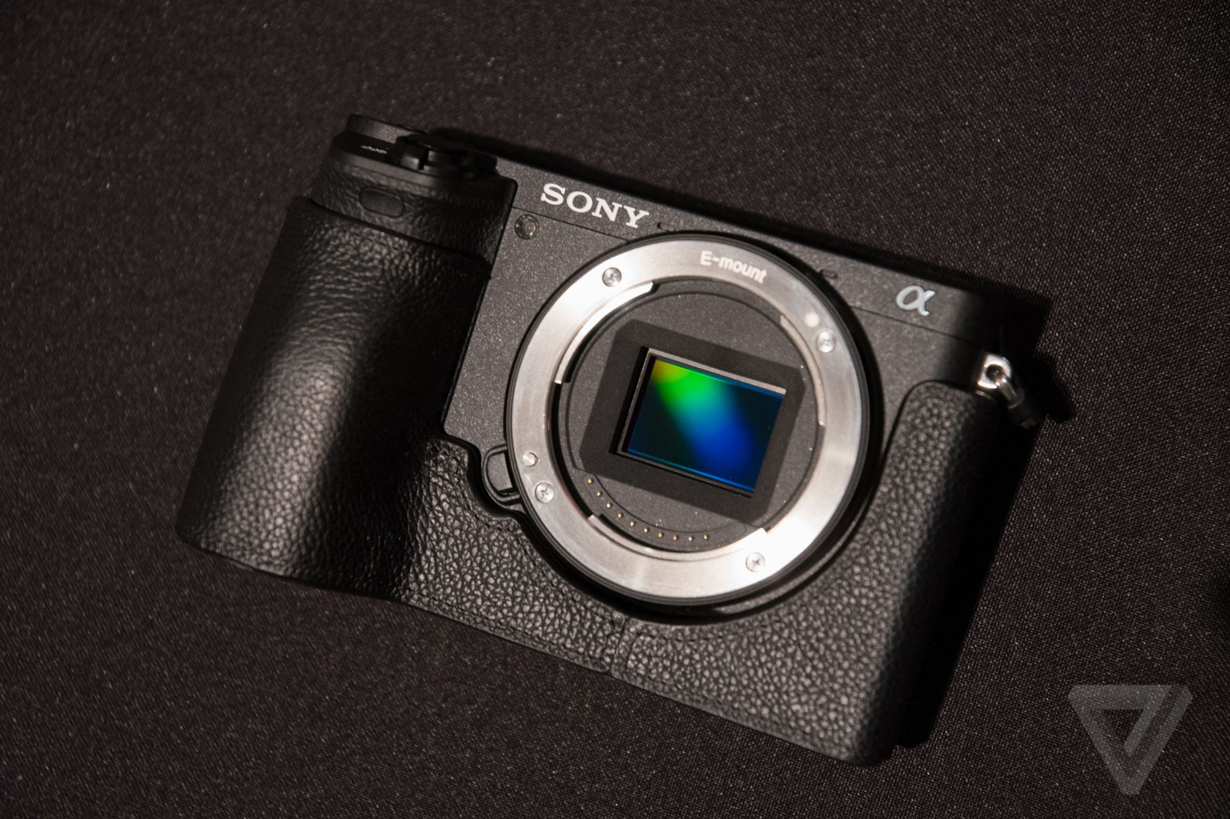 Sony A6500 in photos