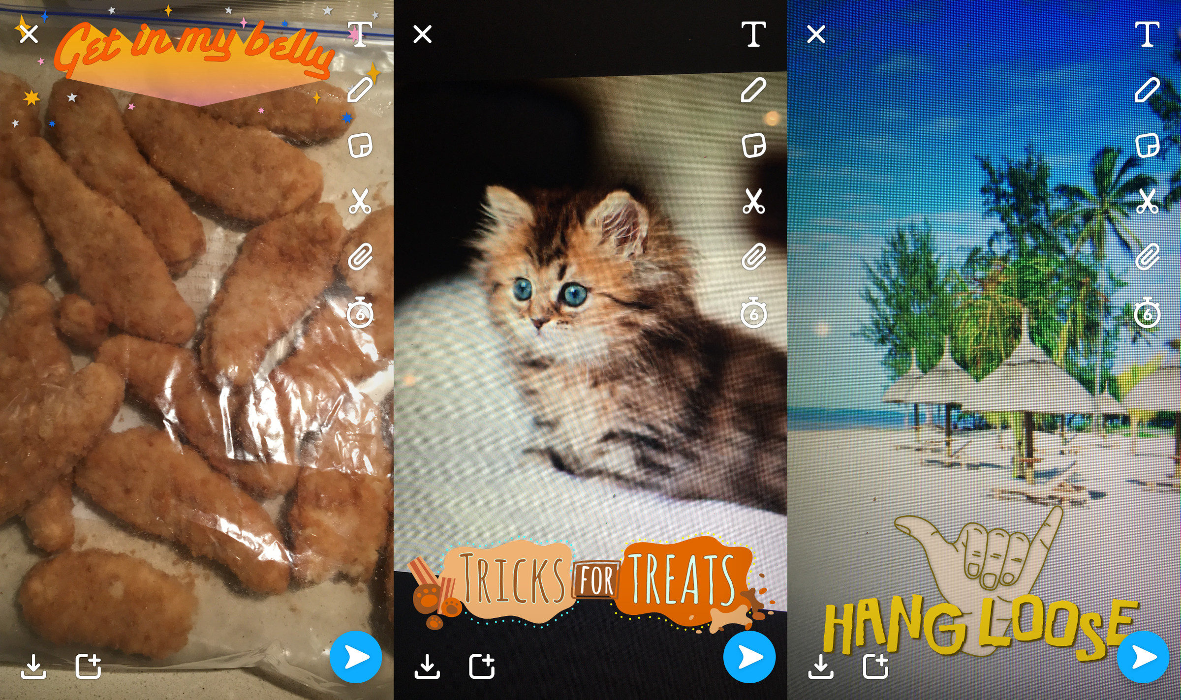 From left to right: a freezer bag of chicken tenders (author’s own); a cute kitten; and a random beachfront. 