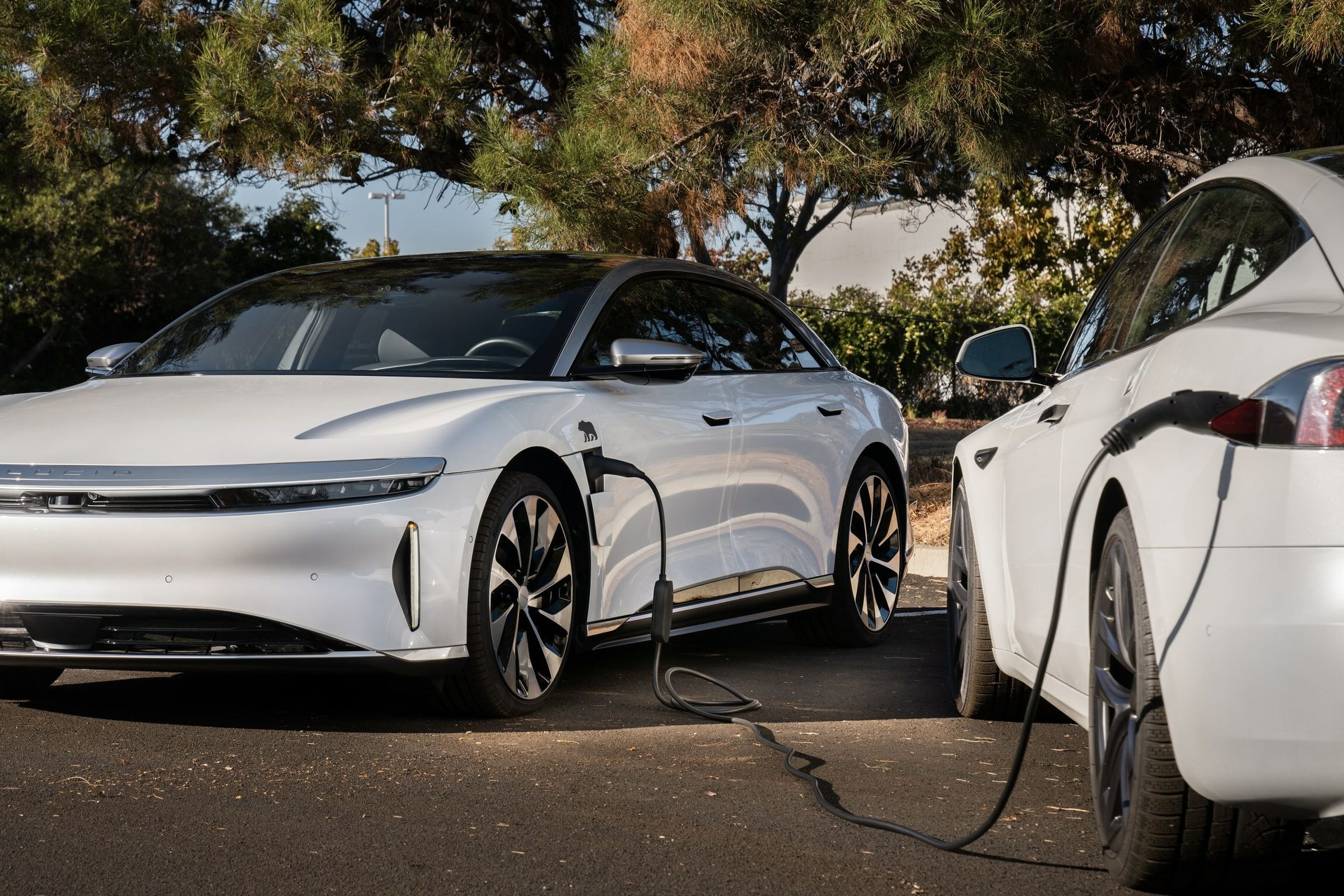 white lucid air with cable connecting between it and a white Tesla