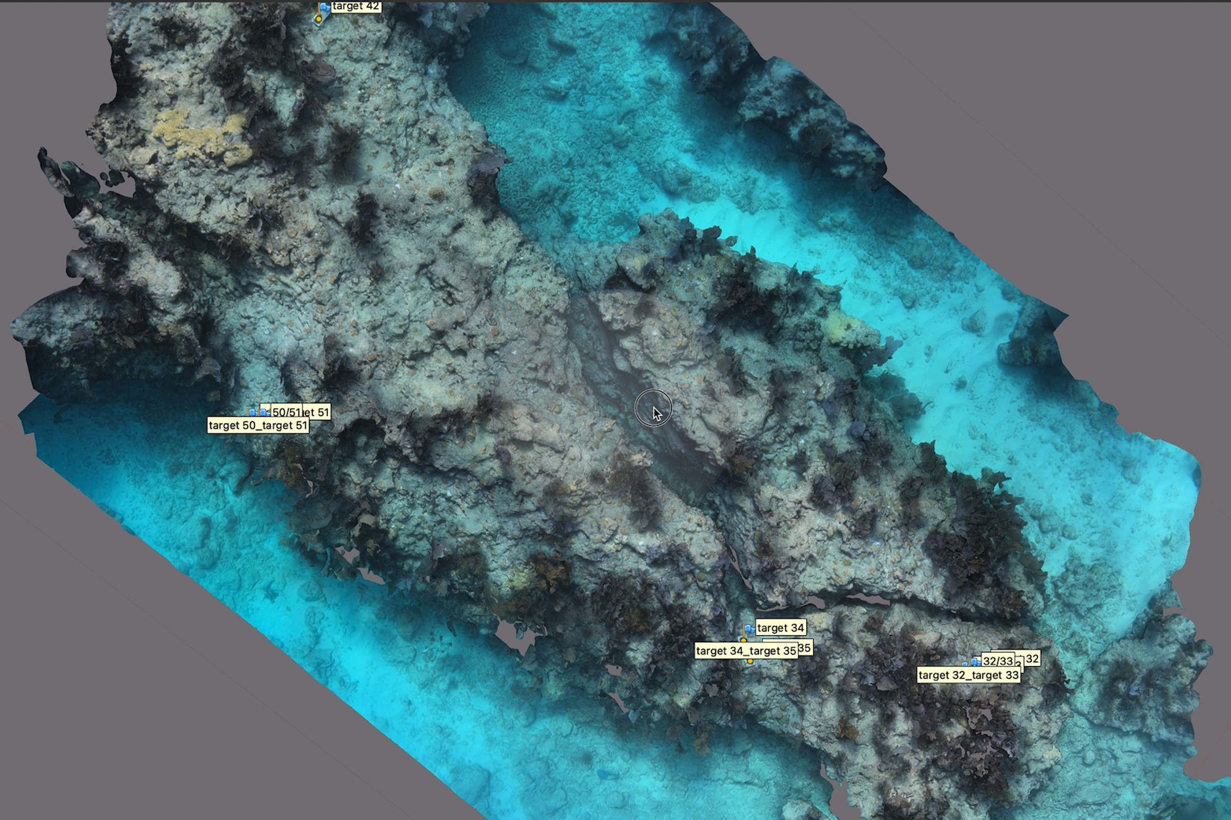An image of a 3D map of part of a reef.